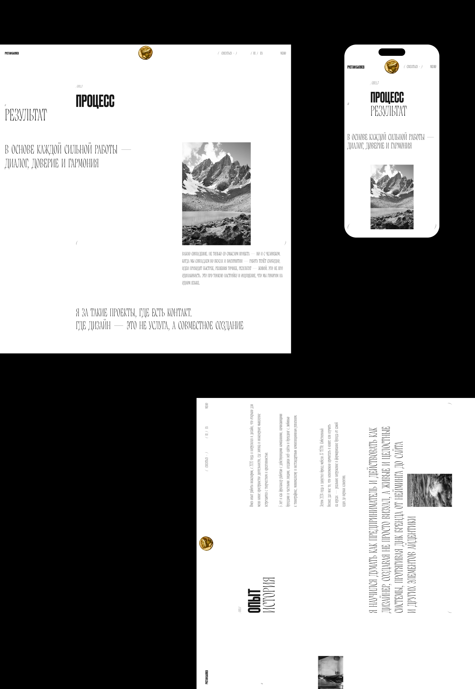 Рустам Баляев — Портфолио / 001 — Изображение №14 — Интерфейсы, Брендинг на Dprofile