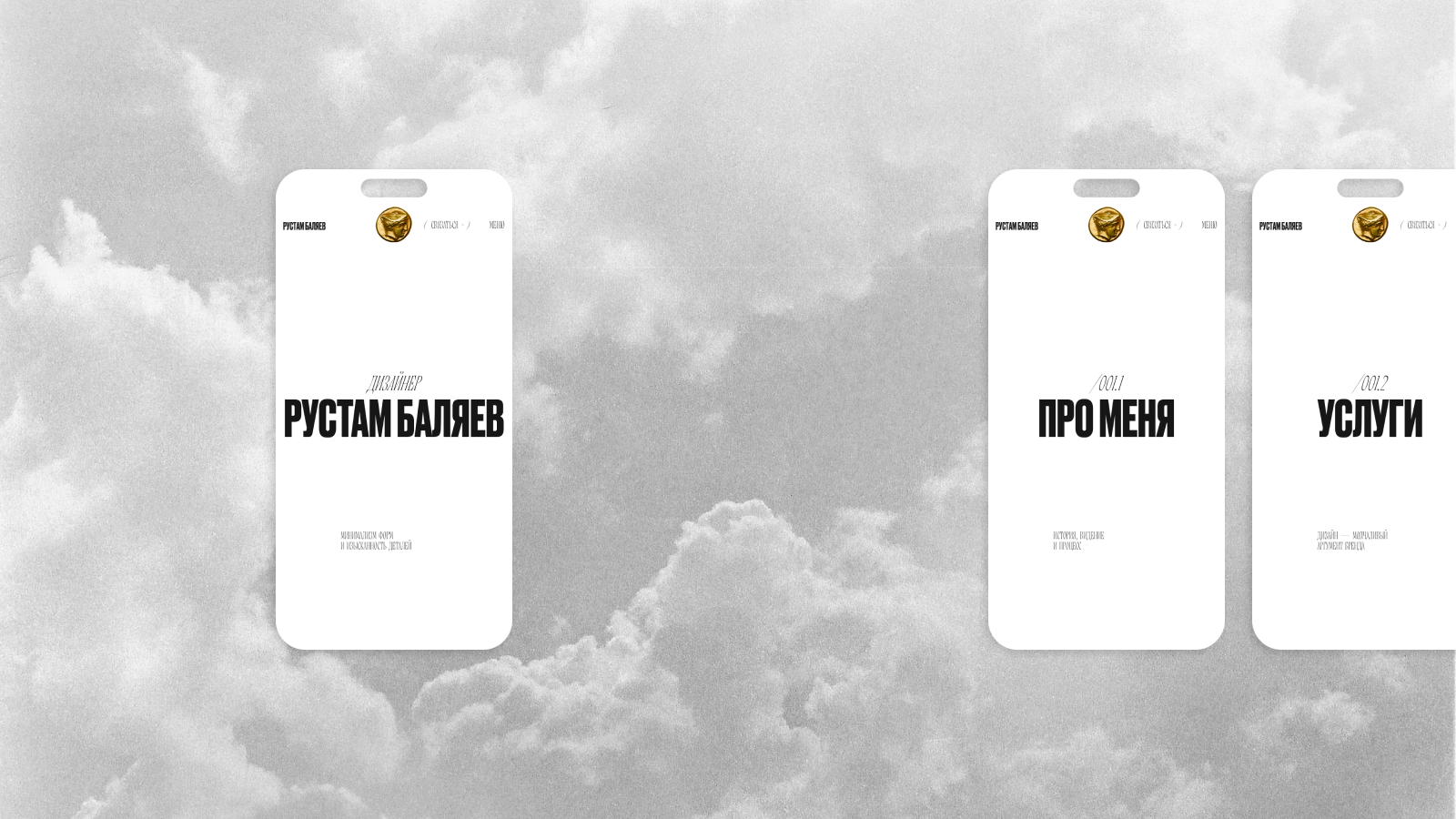 Рустам Баляев — Портфолио / 001 — Изображение №6 — Интерфейсы, Брендинг на Dprofile