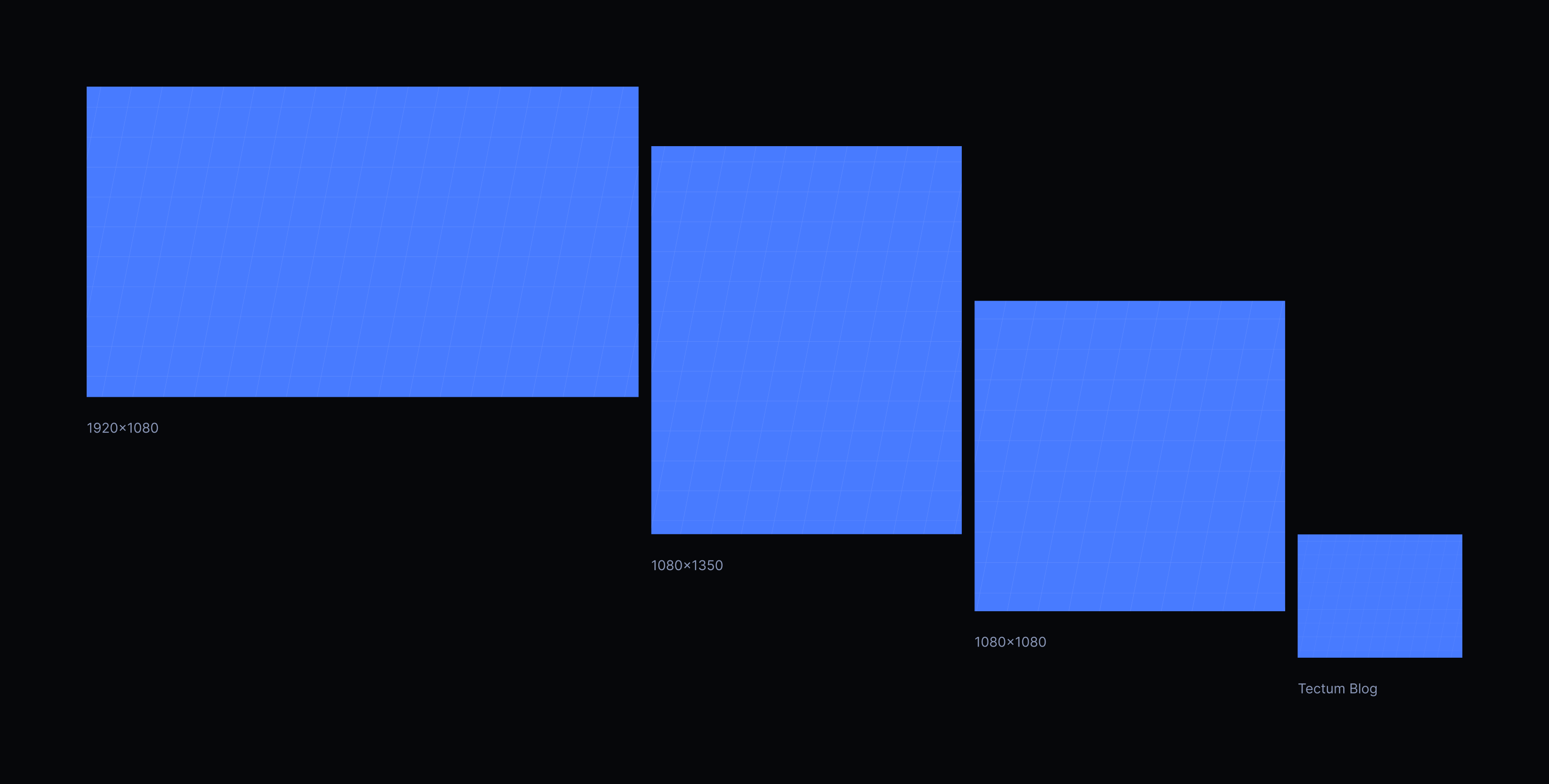 Tectum — Изображение №25 — Брендинг, Графика на Dprofile