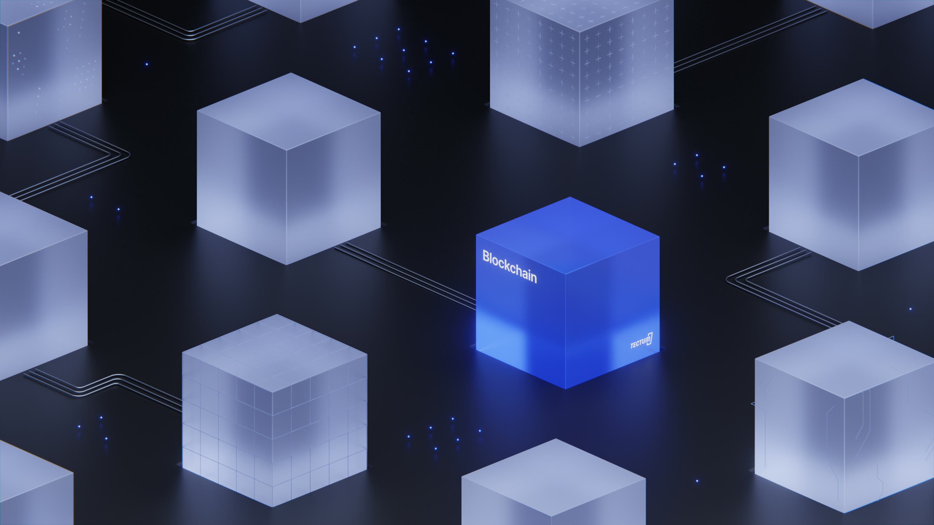 Tectum — Изображение №5 — Брендинг, Графика на Dprofile