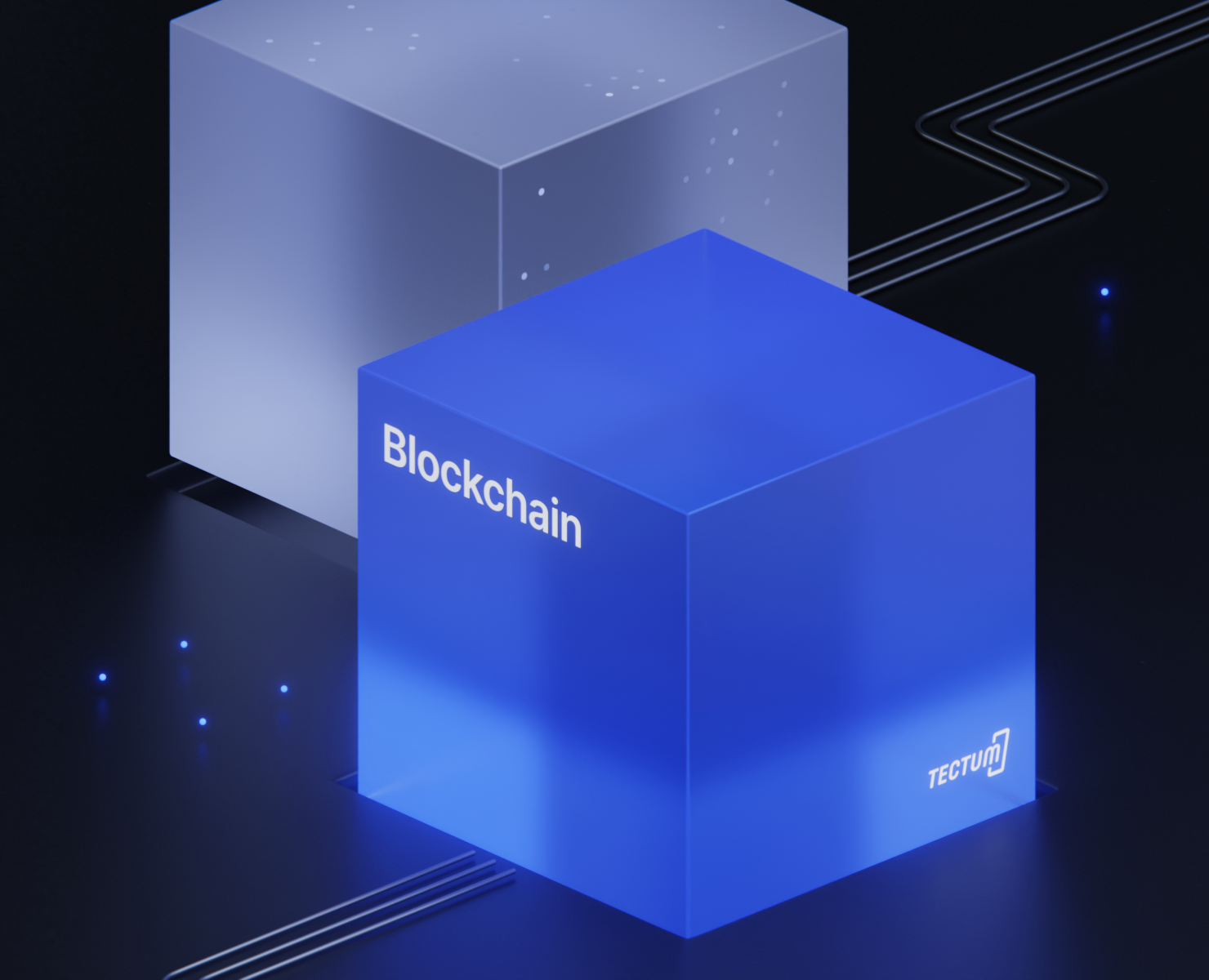 Tectum — Брендинг, Графика на Dprofile