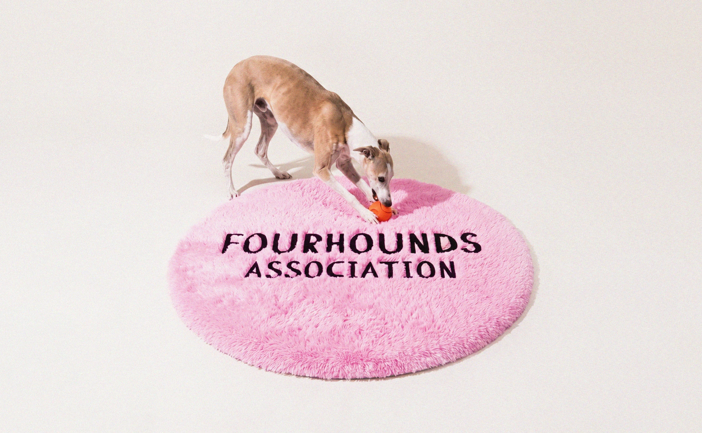 Fourhounds association / айдентика бренда одежды для собак — Изображение №17 — Брендинг, Графика на Dprofile