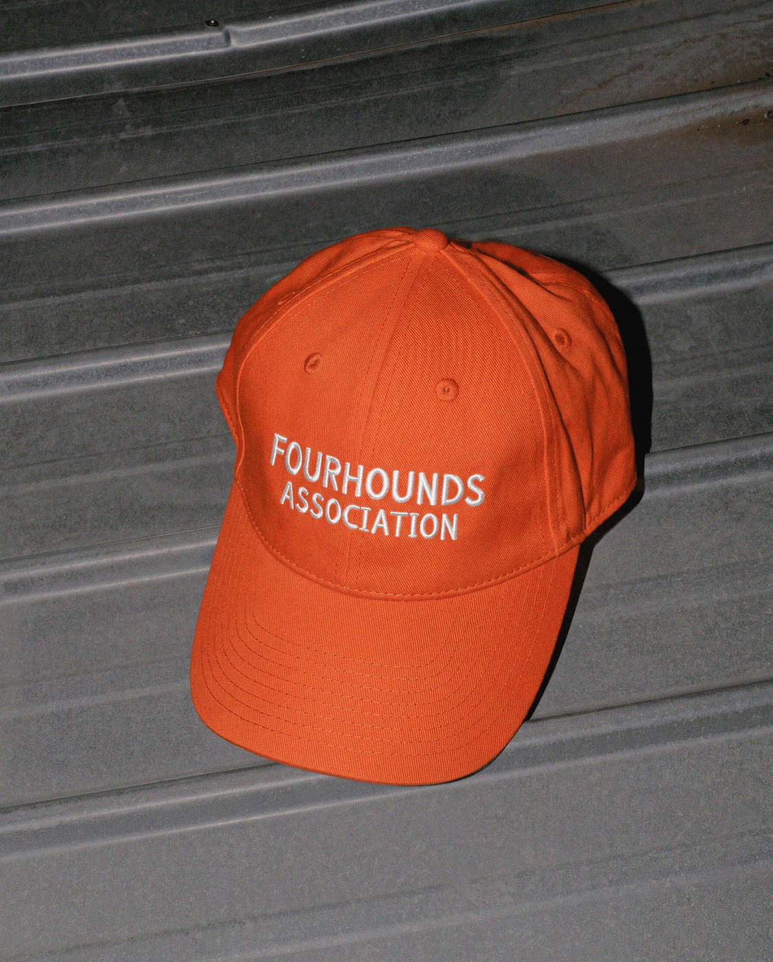 Fourhounds association / айдентика бренда одежды для собак — Изображение №19 — Брендинг, Графика на Dprofile
