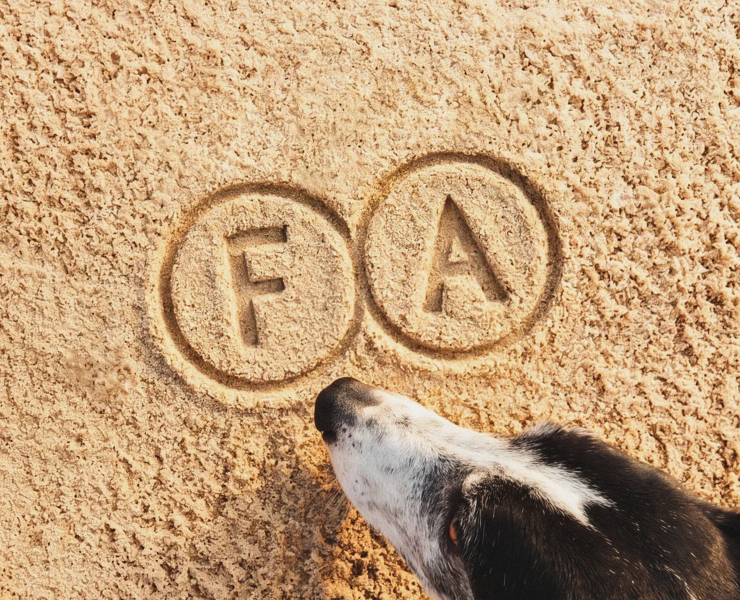 Fourhounds association / айдентика бренда одежды для собак — Брендинг, Графика на Dprofile
