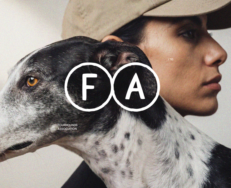 Fourhounds association / айдентика бренда одежды для собак — Брендинг, Графика на Dprofile