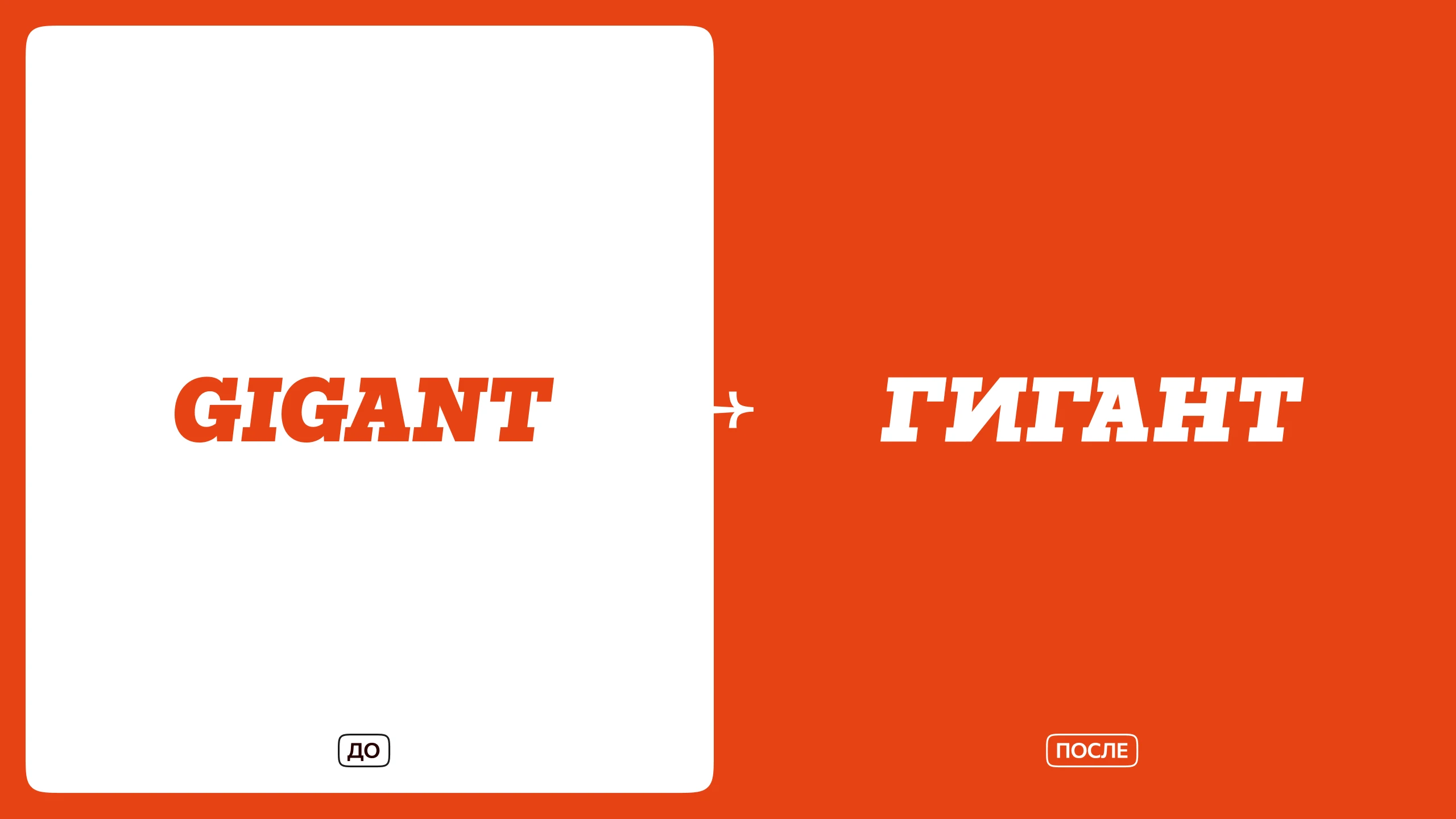 Рефолио | 10 историй редизайна — Изображение №13 — Брендинг, Графика на Dprofile