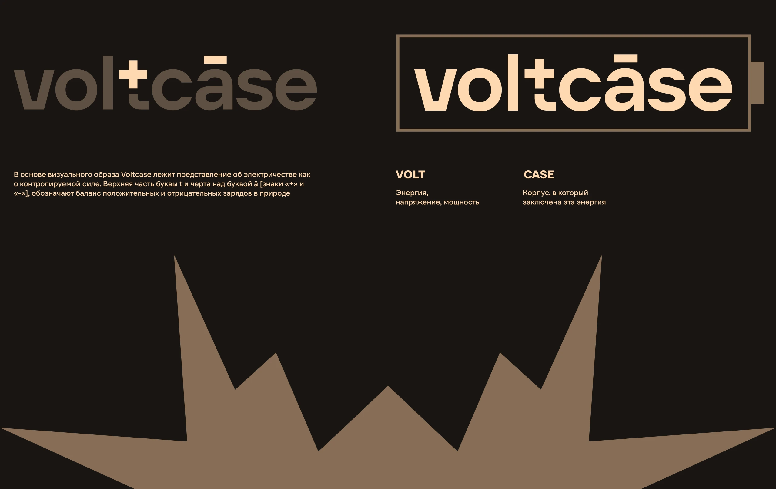 Voltcase™ | Логотип, айдентика, мерч — Изображение №4 — Брендинг на Dprofile