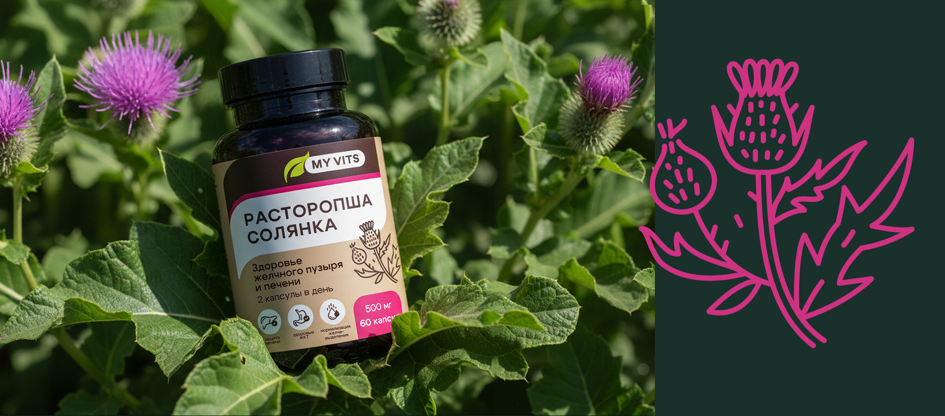 My vits — Изображение №5 — Брендинг на Dprofile