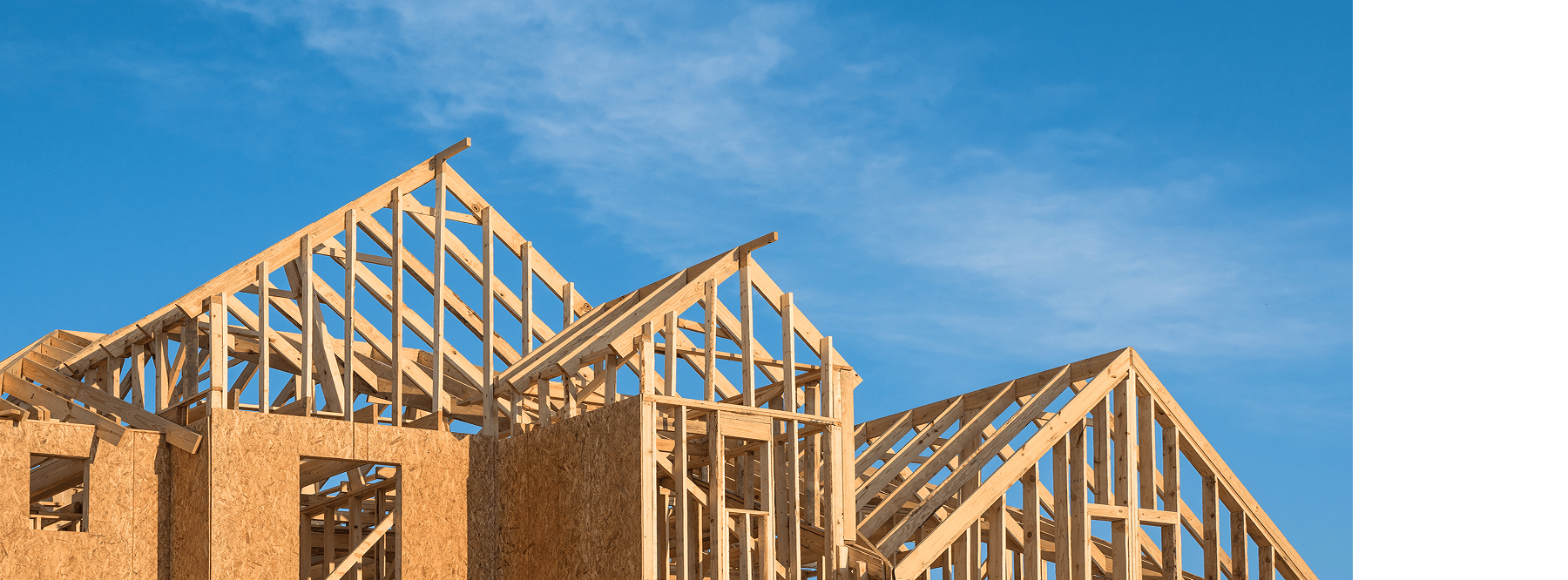 krona — Изображение №16 — Брендинг на Dprofile