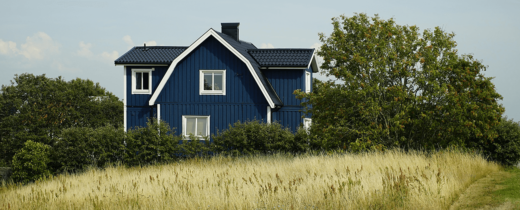 krona — Изображение №22 — Брендинг на Dprofile