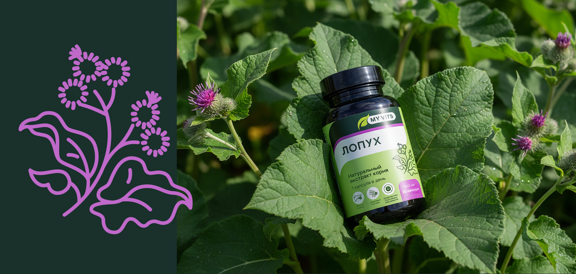 My vits — Изображение №3 — Брендинг на Dprofile