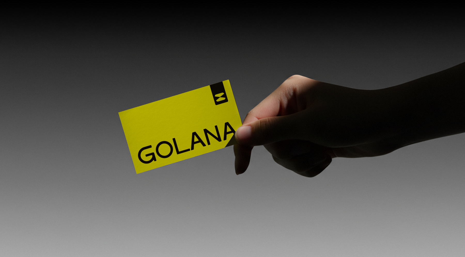 GOLANA — Изображение №9 — Брендинг на Dprofile