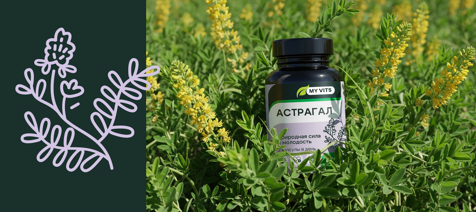 My vits — Изображение №7 — Брендинг на Dprofile