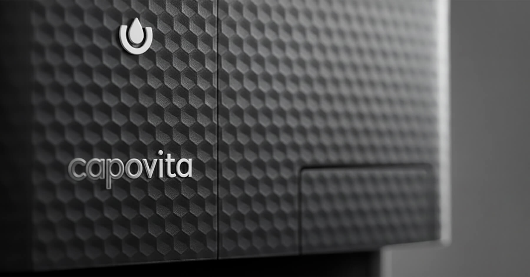 capovita — Изображение №8 — Брендинг на Dprofile