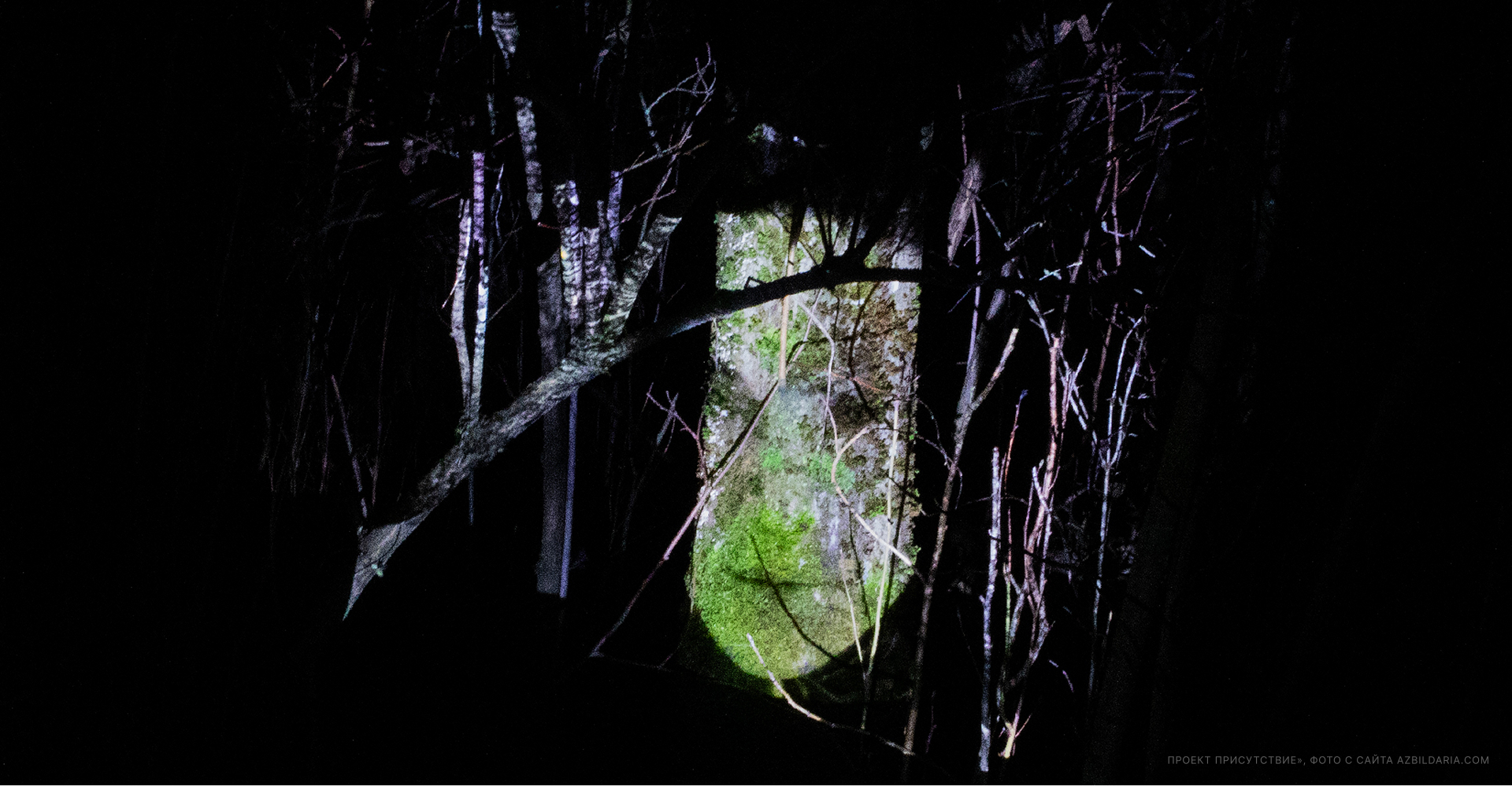 Дарья Азбиль – Портфолио — Изображение №3 — Интерфейсы, Анимация на Dprofile