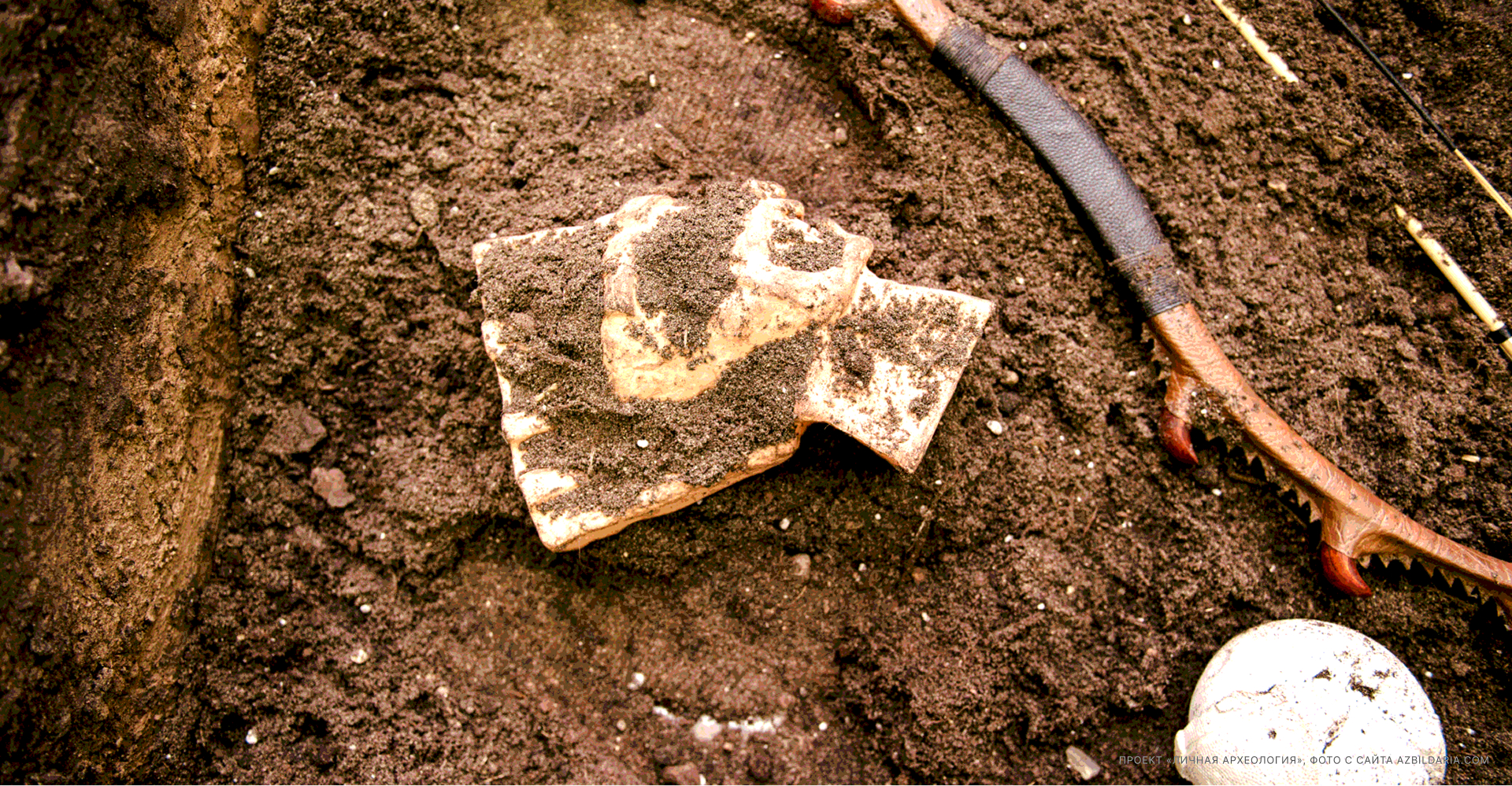 Дарья Азбиль – Портфолио — Изображение №5 — Интерфейсы, Анимация на Dprofile