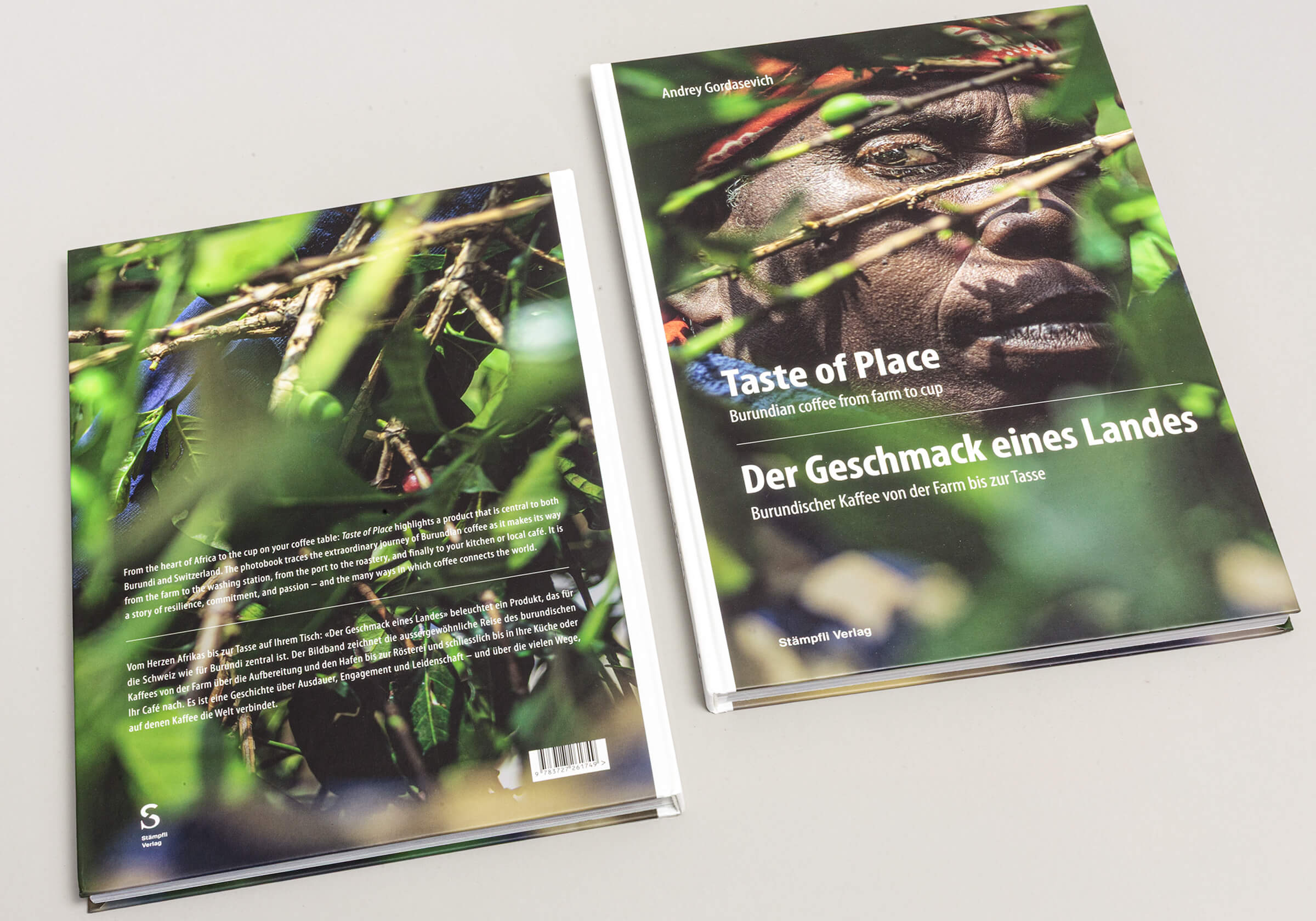 Taste of Place — Изображение №3 — Графика на Dprofile