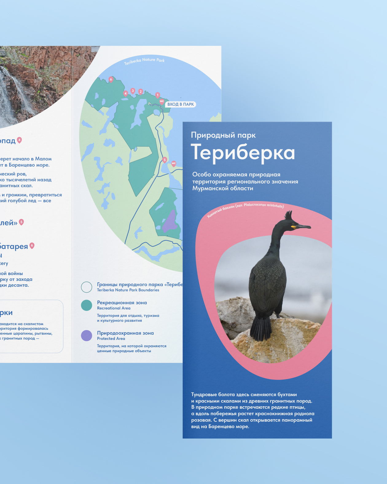 Айдентика «Крыльев Арктики» — Изображение №7 — Брендинг, Графика на Dprofile