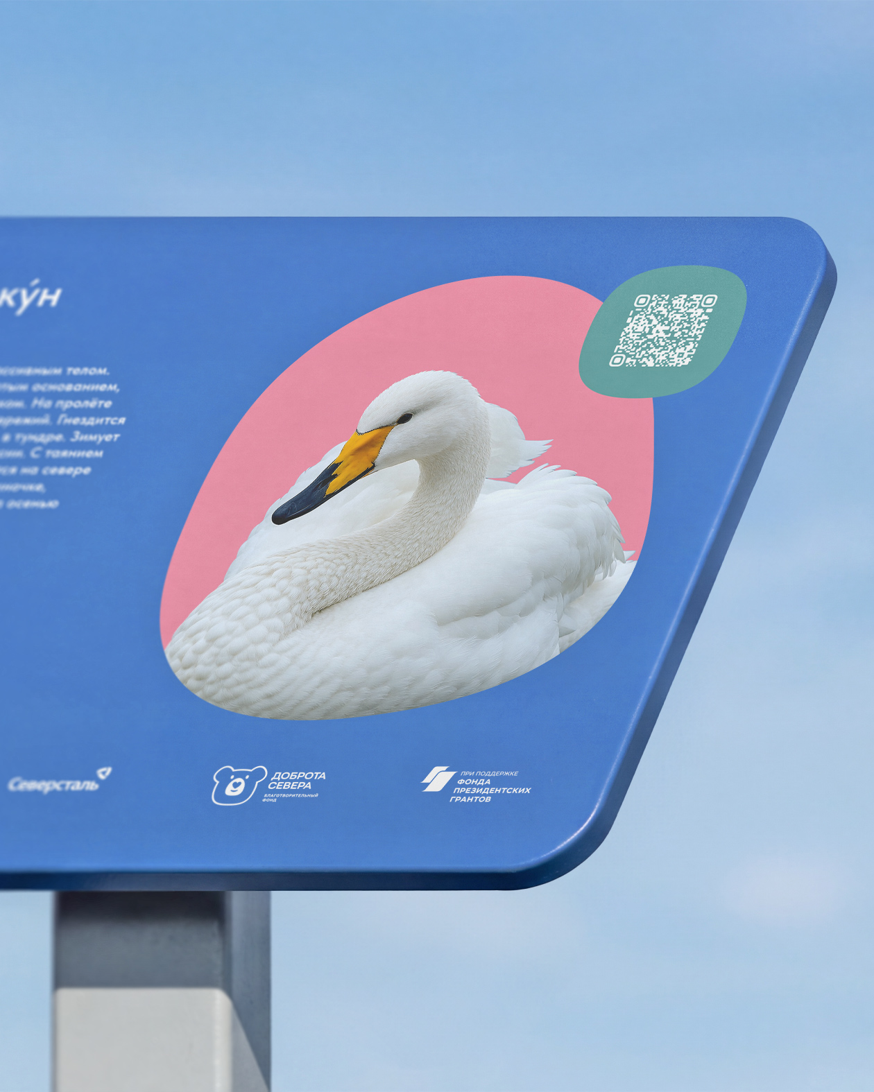 Айдентика «Крыльев Арктики» — Изображение №9 — Брендинг, Графика на Dprofile