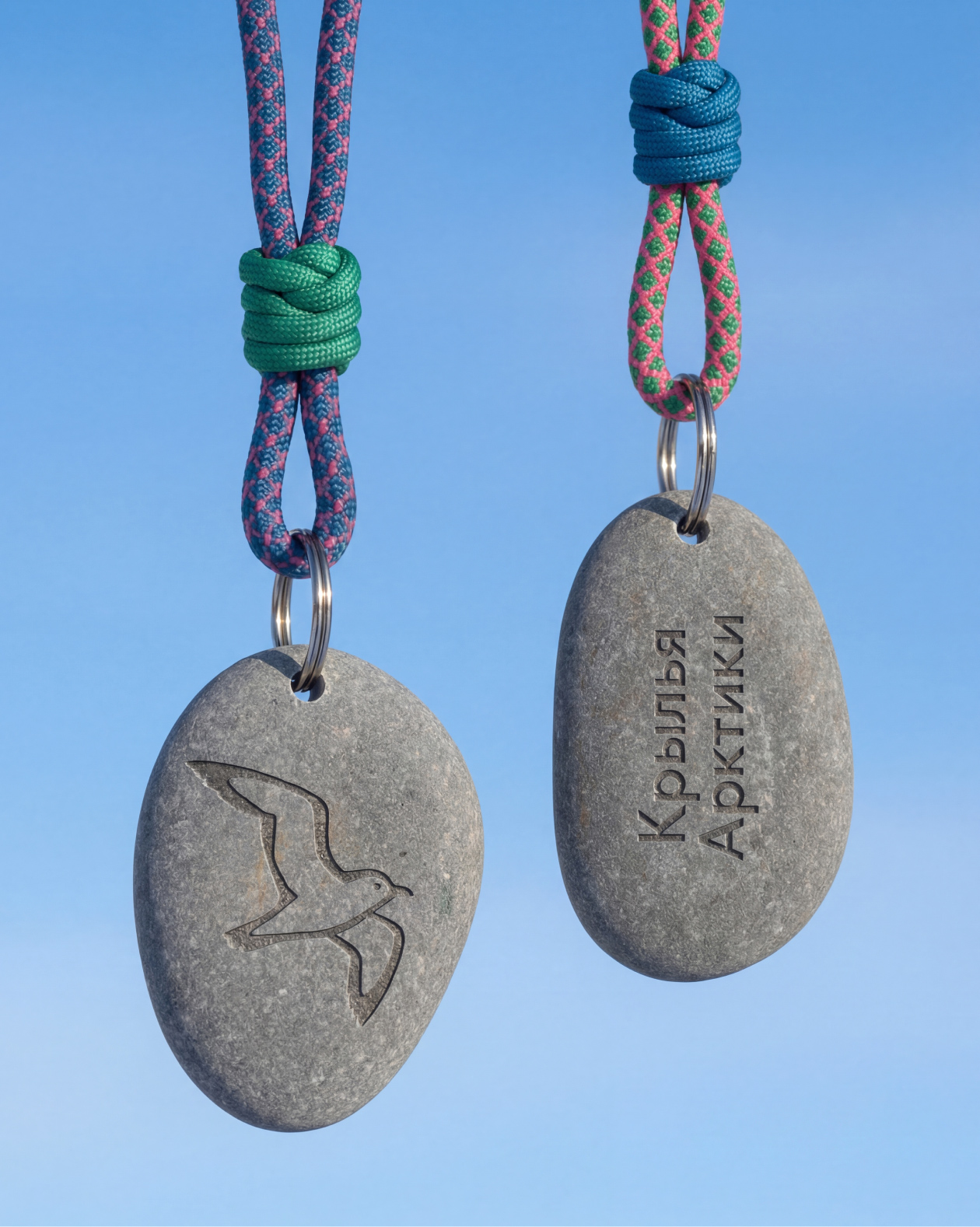 Айдентика «Крыльев Арктики» — Изображение №15 — Брендинг, Графика на Dprofile