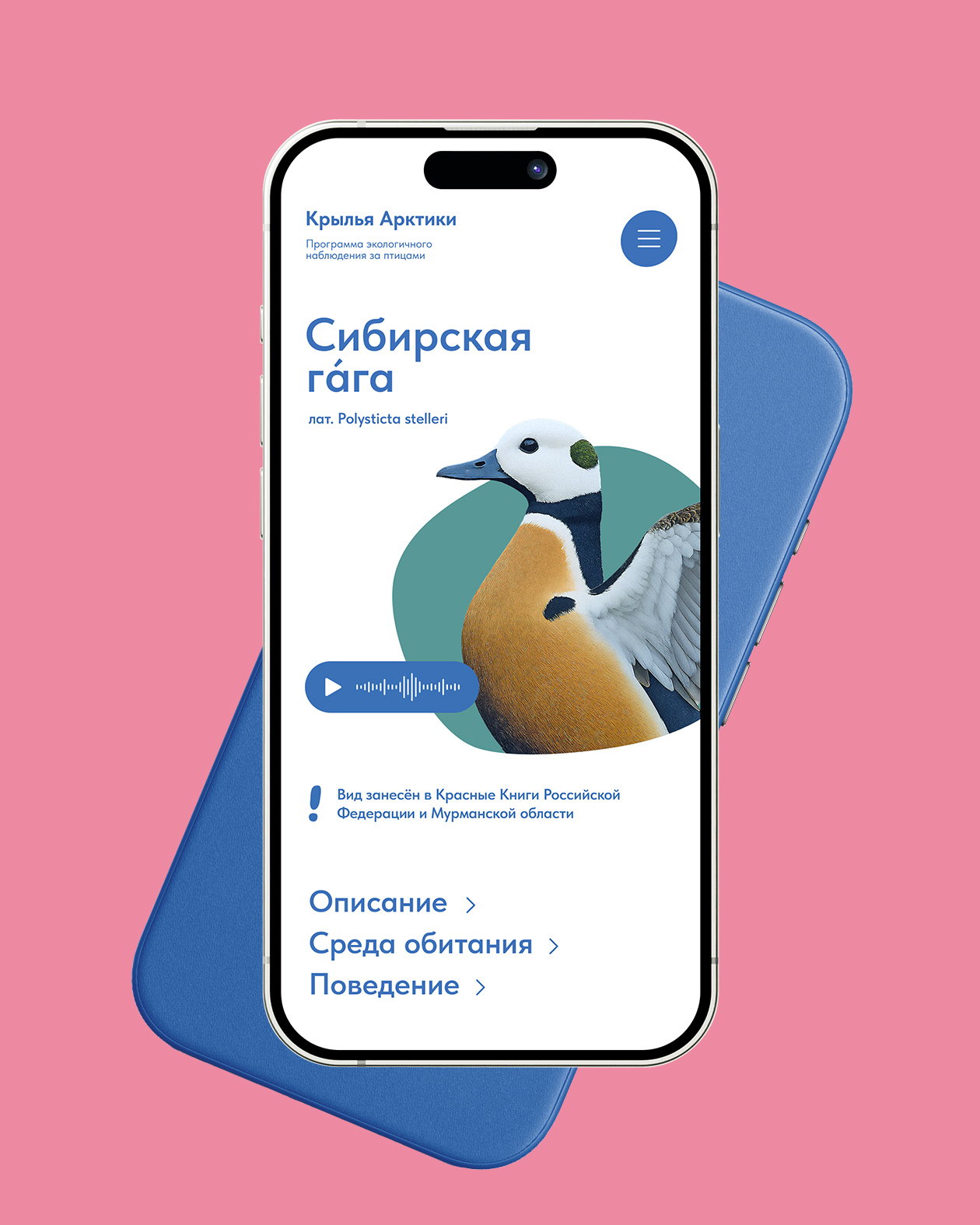 Айдентика «Крыльев Арктики» — Изображение №10 — Брендинг, Графика на Dprofile