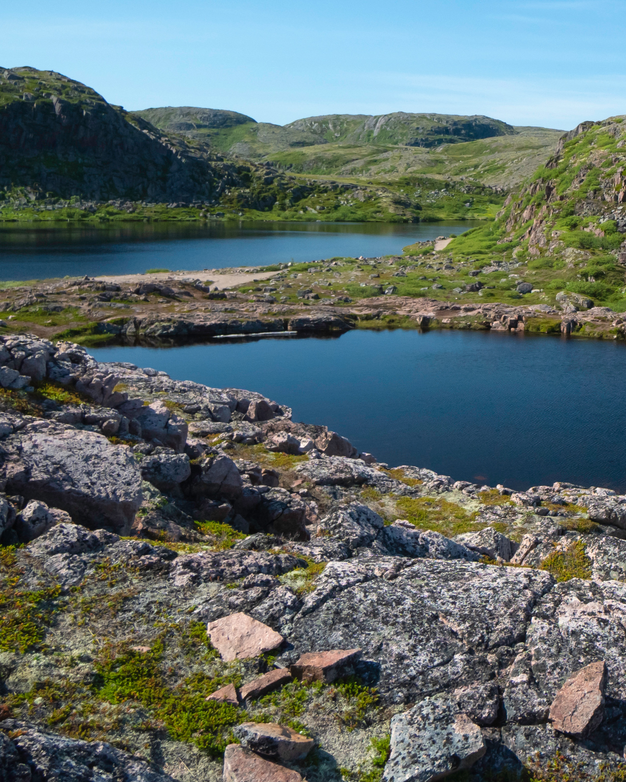 Айдентика «Крыльев Арктики» — Изображение №8 — Брендинг, Графика на Dprofile