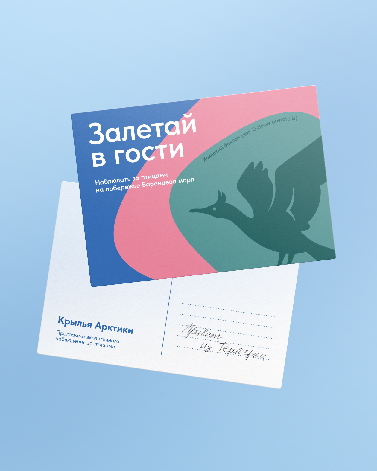 Айдентика «Крыльев Арктики» — Изображение №12 — Брендинг, Графика на Dprofile