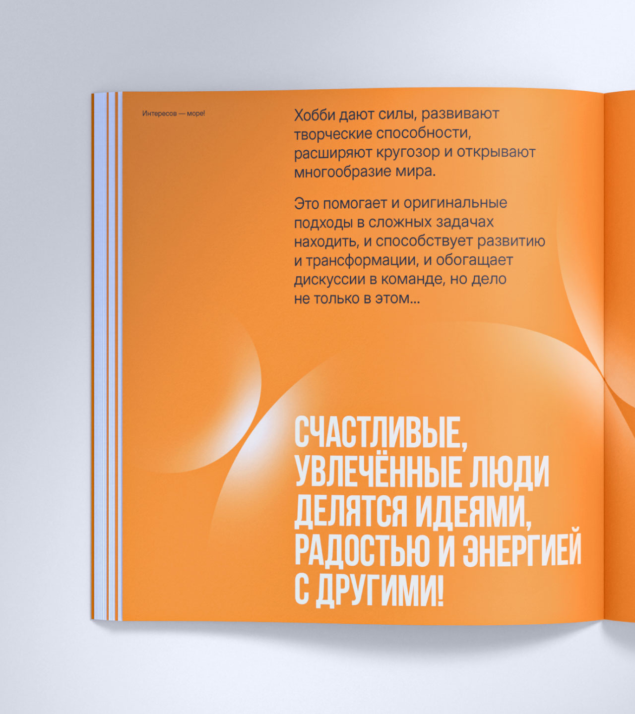 Оранжевая книга «Экспобанка» — Изображение №12 — Графика на Dprofile