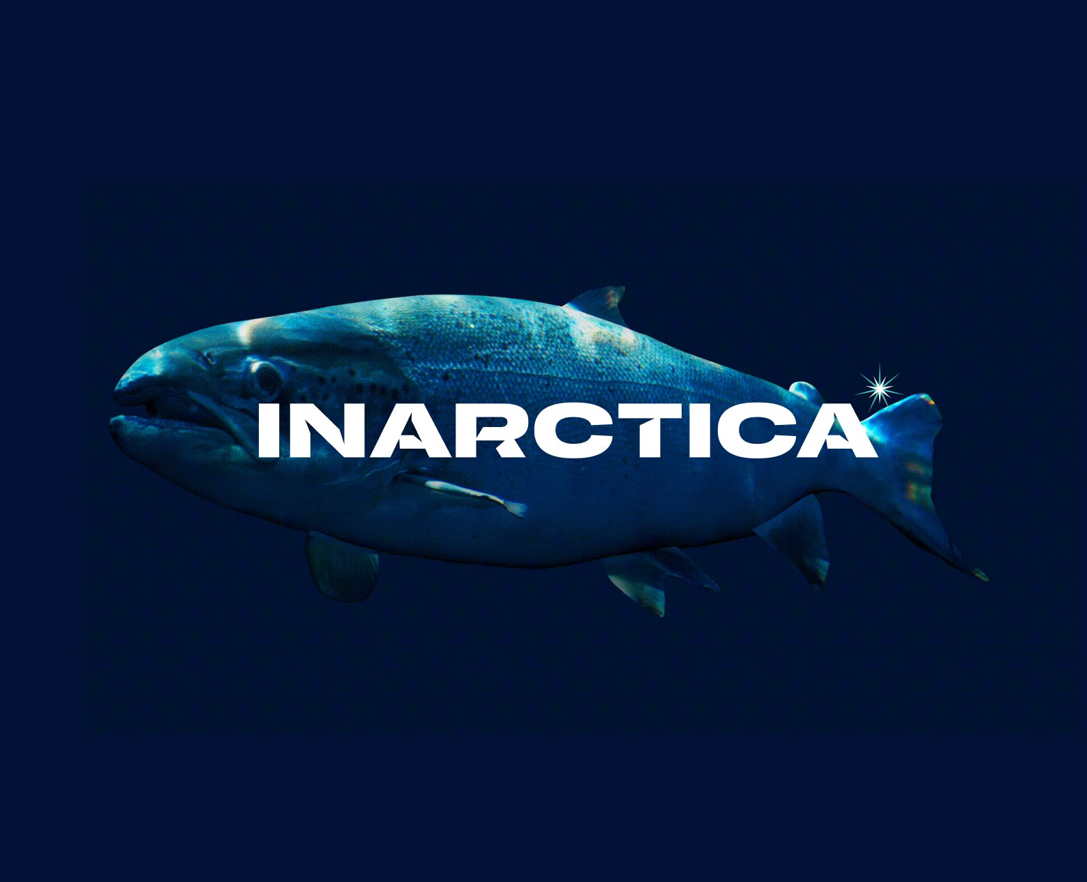 INARCTICA — Интерфейсы на Dprofile
