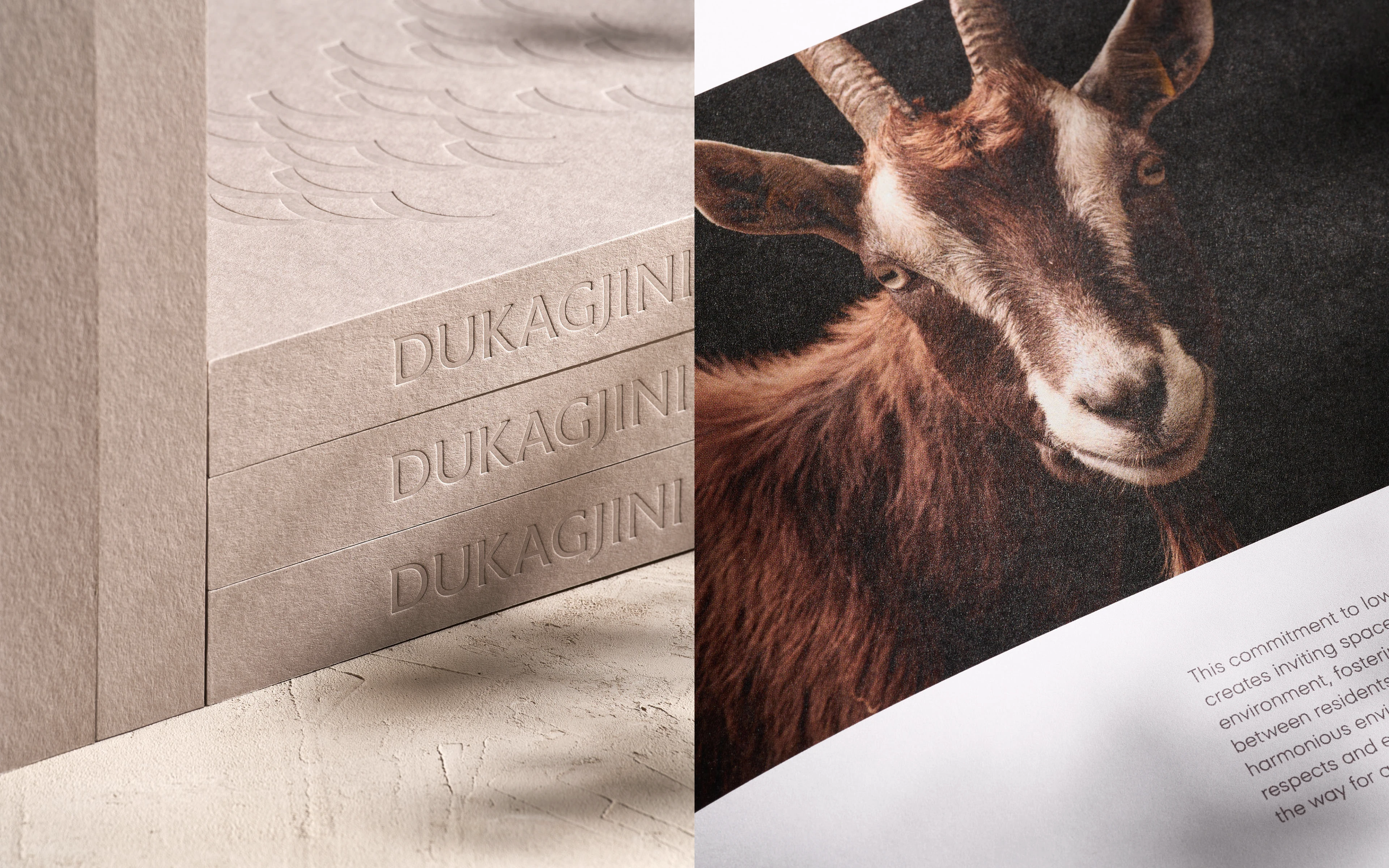 Dukagjini Resort — Изображение №16 — Интерфейсы, Брендинг на Dprofile