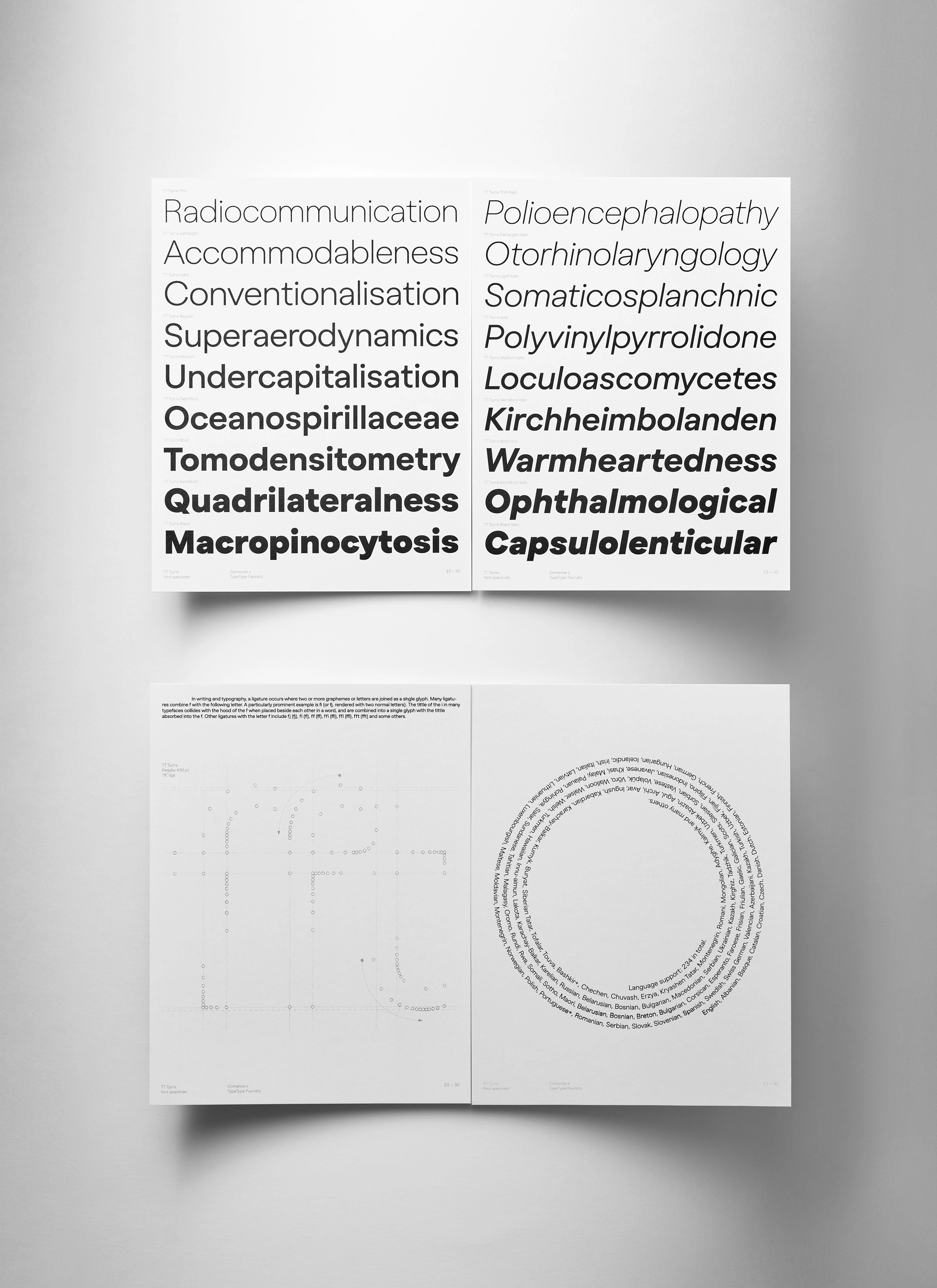 TT Turns Font & Specimen — Изображение №9 — Брендинг, Графика на Dprofile