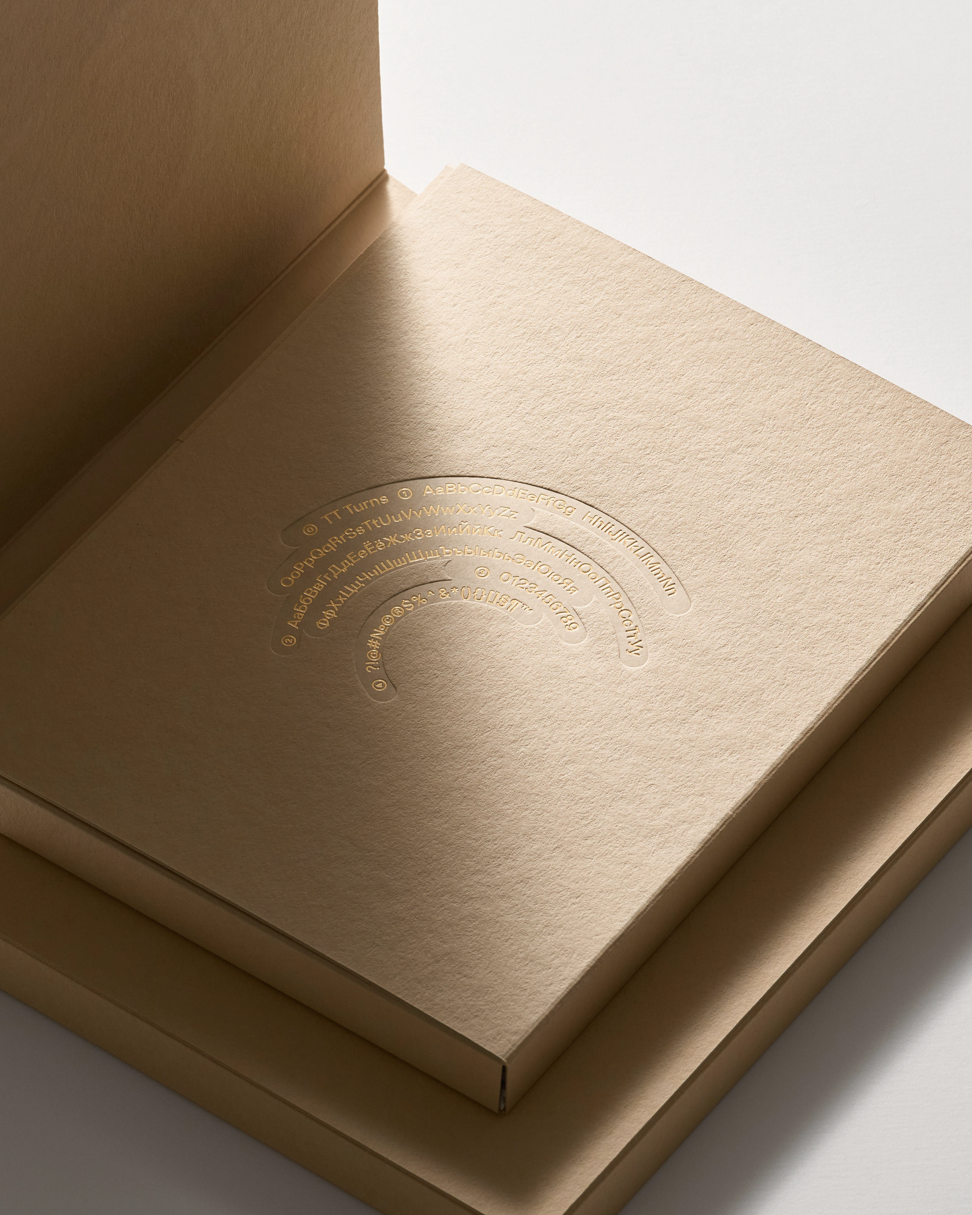 TT Turns Font & Specimen — Изображение №14 — Брендинг, Графика на Dprofile