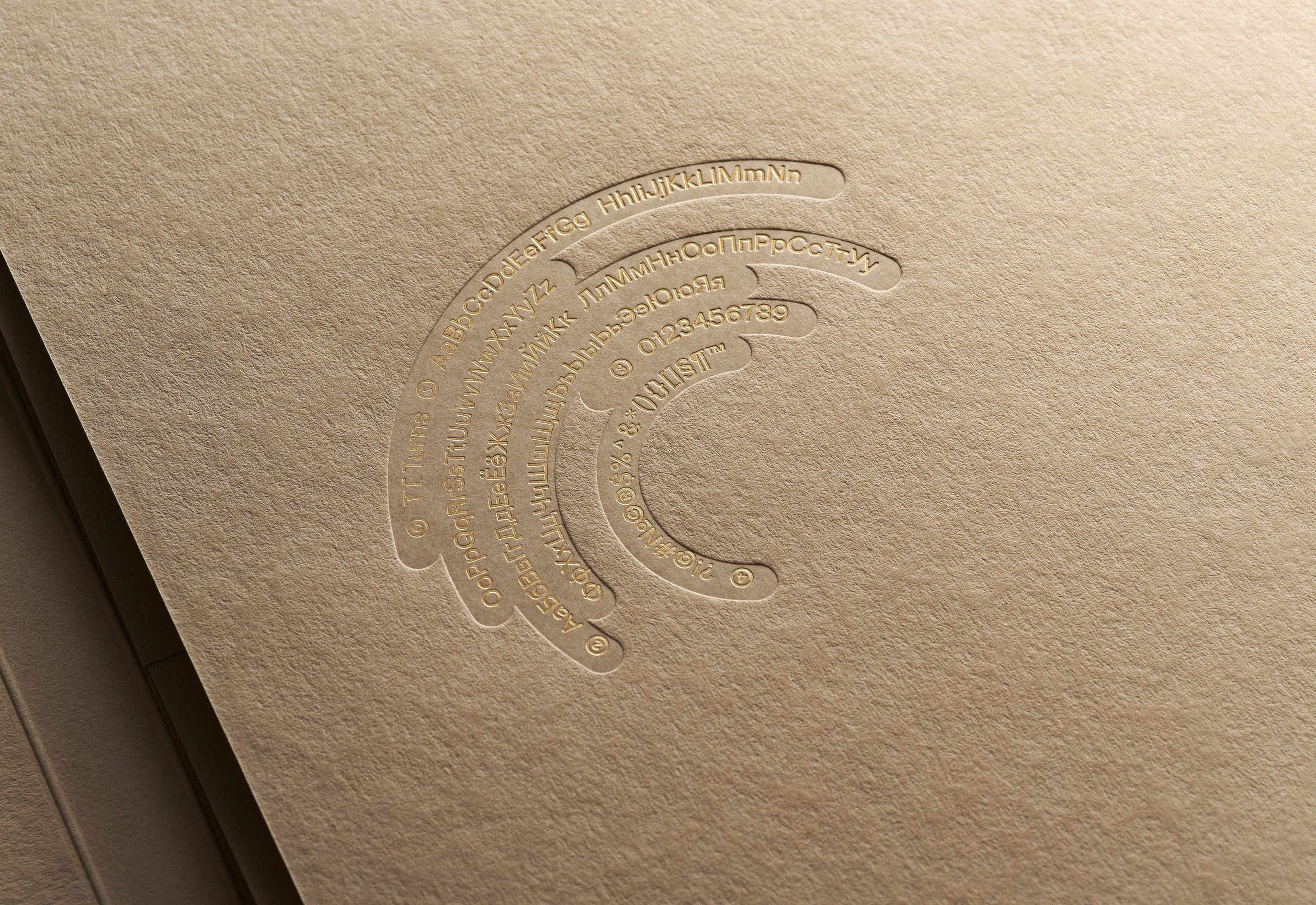 TT Turns Font & Specimen — Изображение №16 — Брендинг, Графика на Dprofile