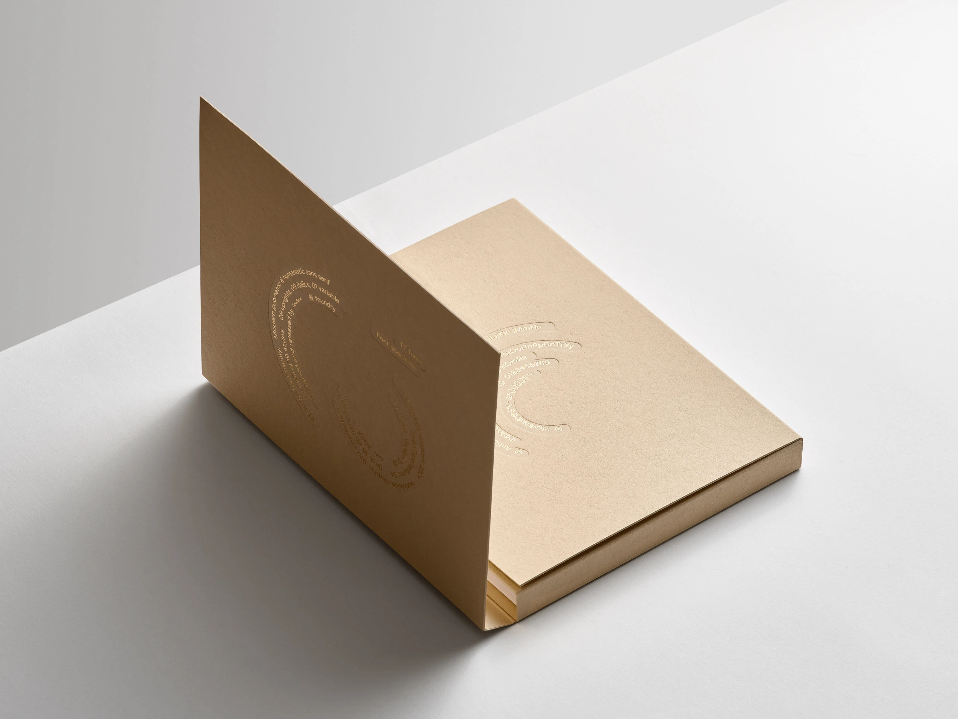 TT Turns Font & Specimen — Изображение №8 — Брендинг, Графика на Dprofile