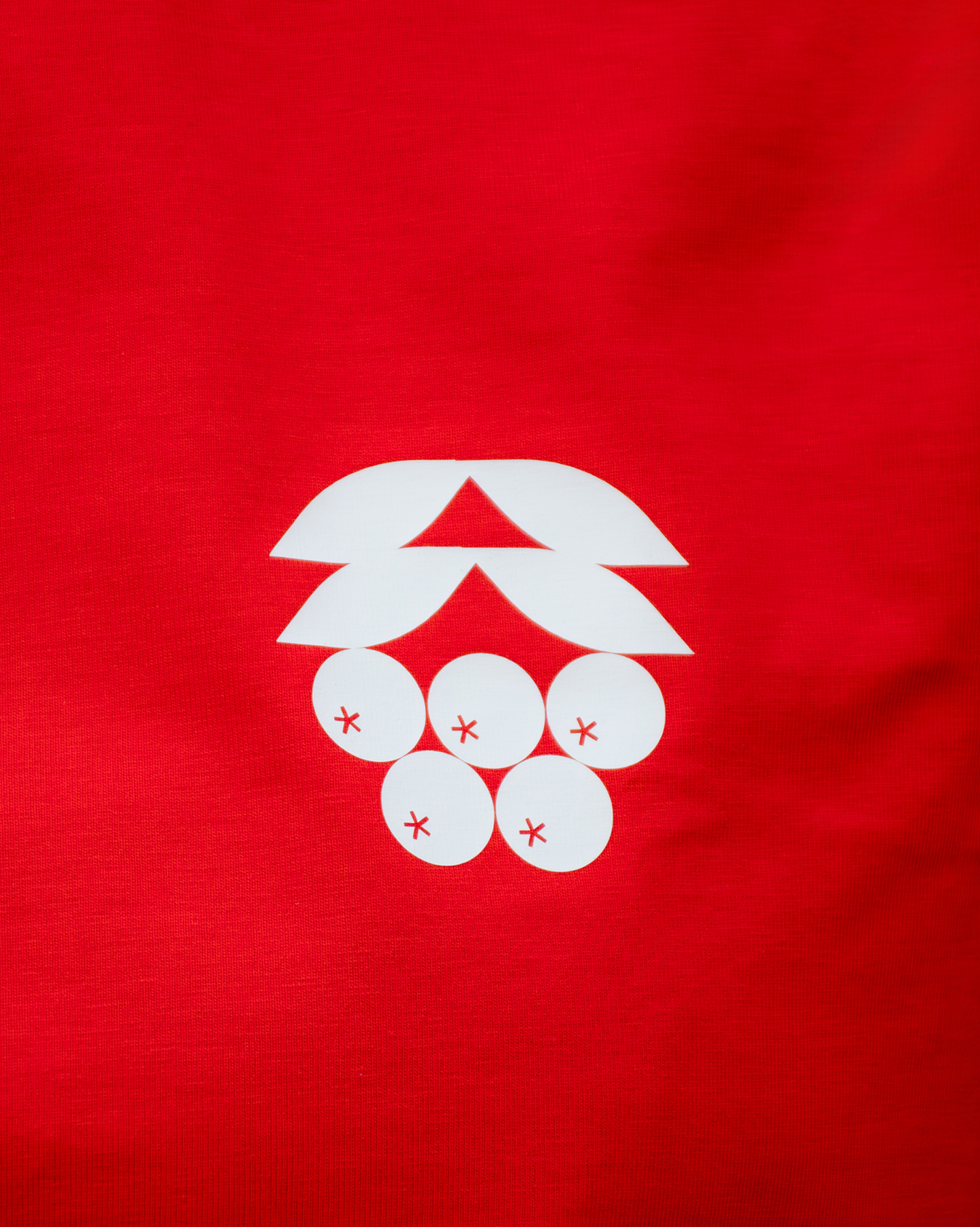 Ижевский рябиновый — Изображение №10 — Брендинг на Dprofile