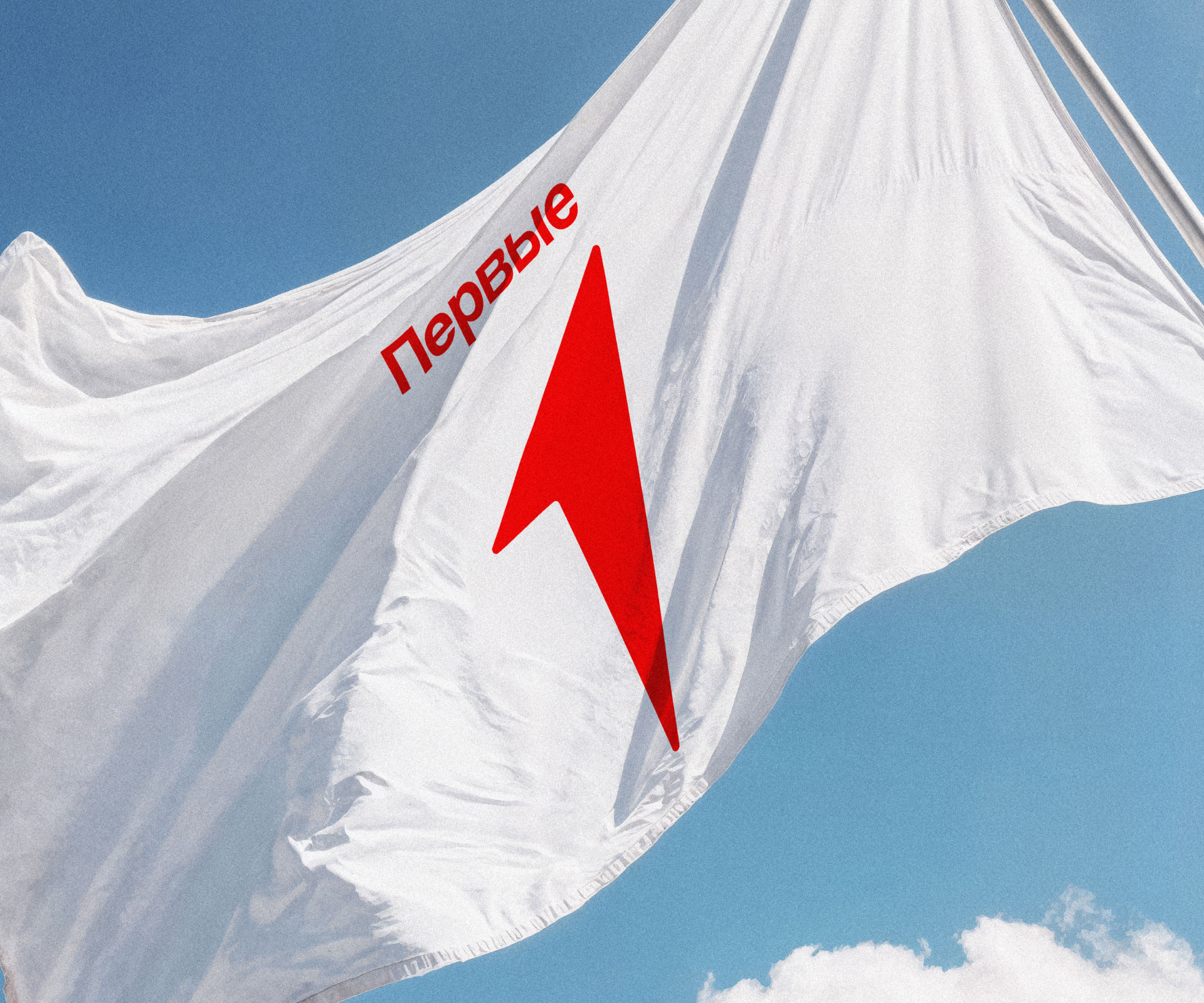 Движение Первых — Изображение №17 — Брендинг на Dprofile