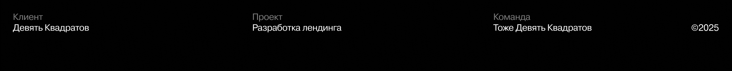 Девять Квадратов: Промо-сайт для игровой индустрии — Изображение №1 — Интерфейсы, Анимация на Dprofile