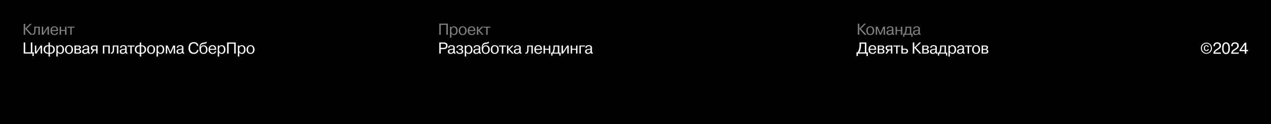 СберПро: Лендинг о глобальных возможностях для бизнеса — Изображение №1 — Интерфейсы на Dprofile