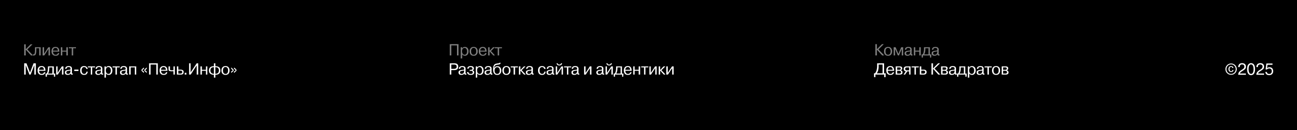Медиа-стартап «Печь.Инфо» — Изображение №1 — Брендинг на Dprofile