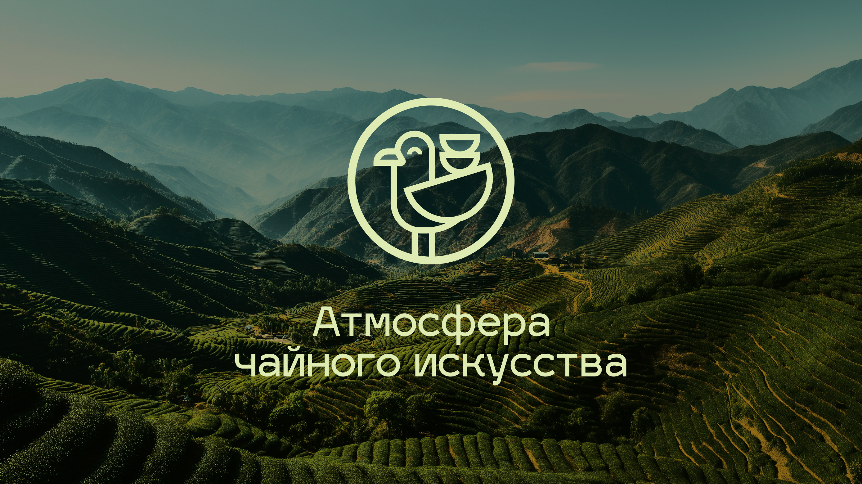 ЧАЙКА — Изображение №1 — Брендинг, Графика на Dprofile