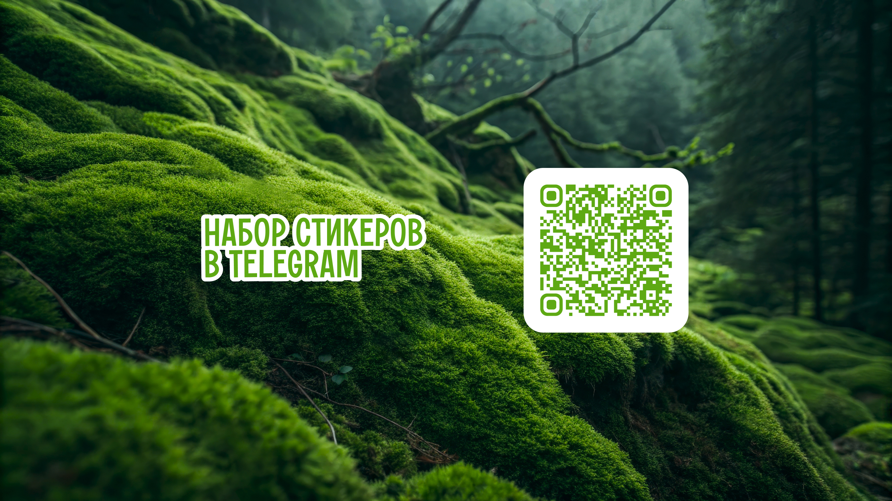 ПРОСТОР — Изображение №9 — Брендинг, Иллюстрация на Dprofile