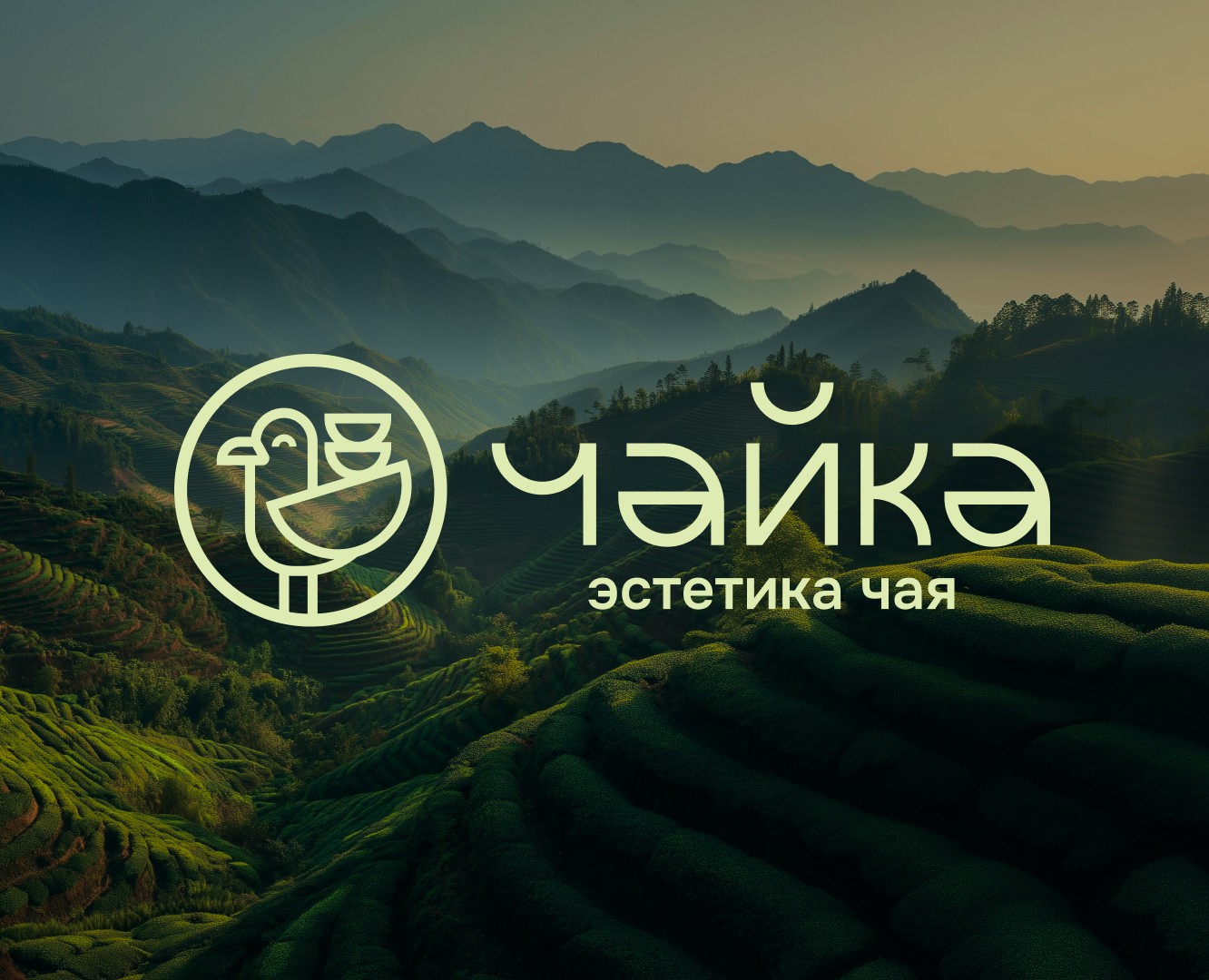 ЧАЙКА — Брендинг, Графика на Dprofile