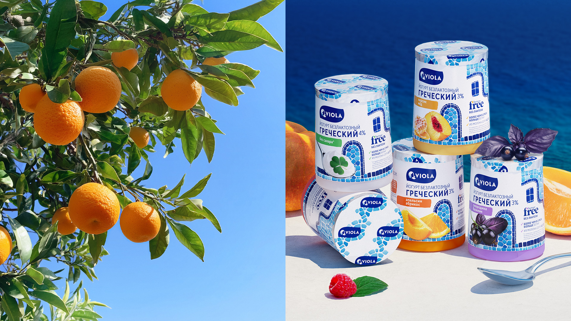 Viola: финская забота и греческая щедрость вкуса — Изображение №7 — Брендинг на Dprofile