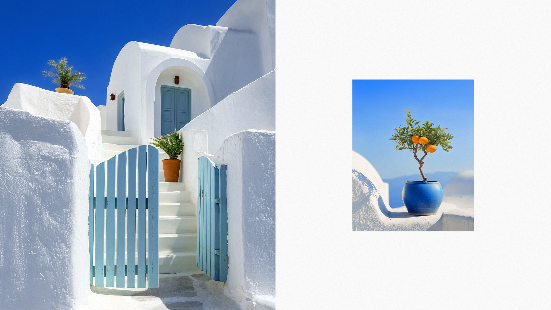 Viola: финская забота и греческая щедрость вкуса — Изображение №2 — Брендинг на Dprofile