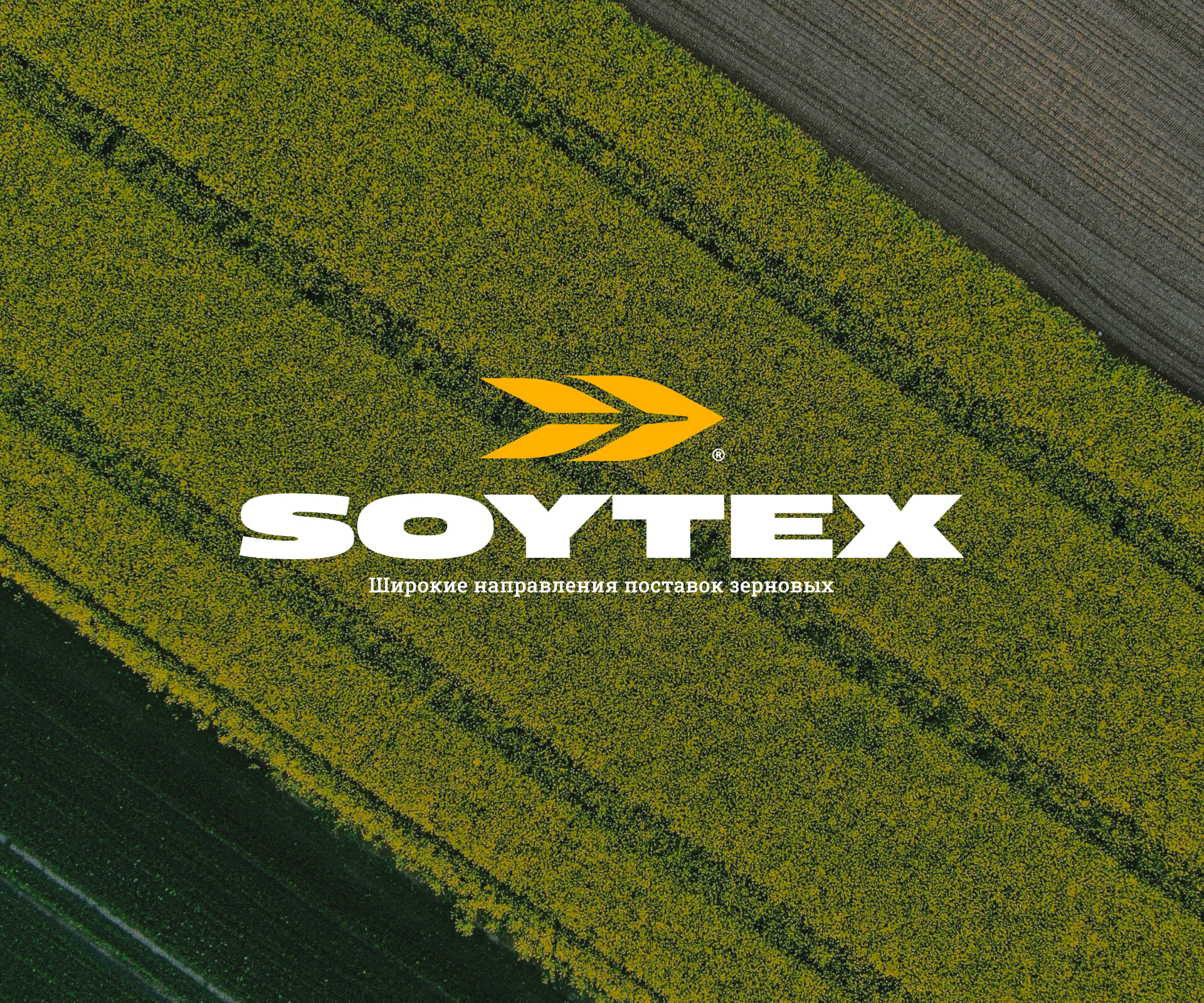 SOYTEX. Айдентика и сайт поставщика зерновых — Изображение №4 — Интерфейсы, Брендинг на Dprofile