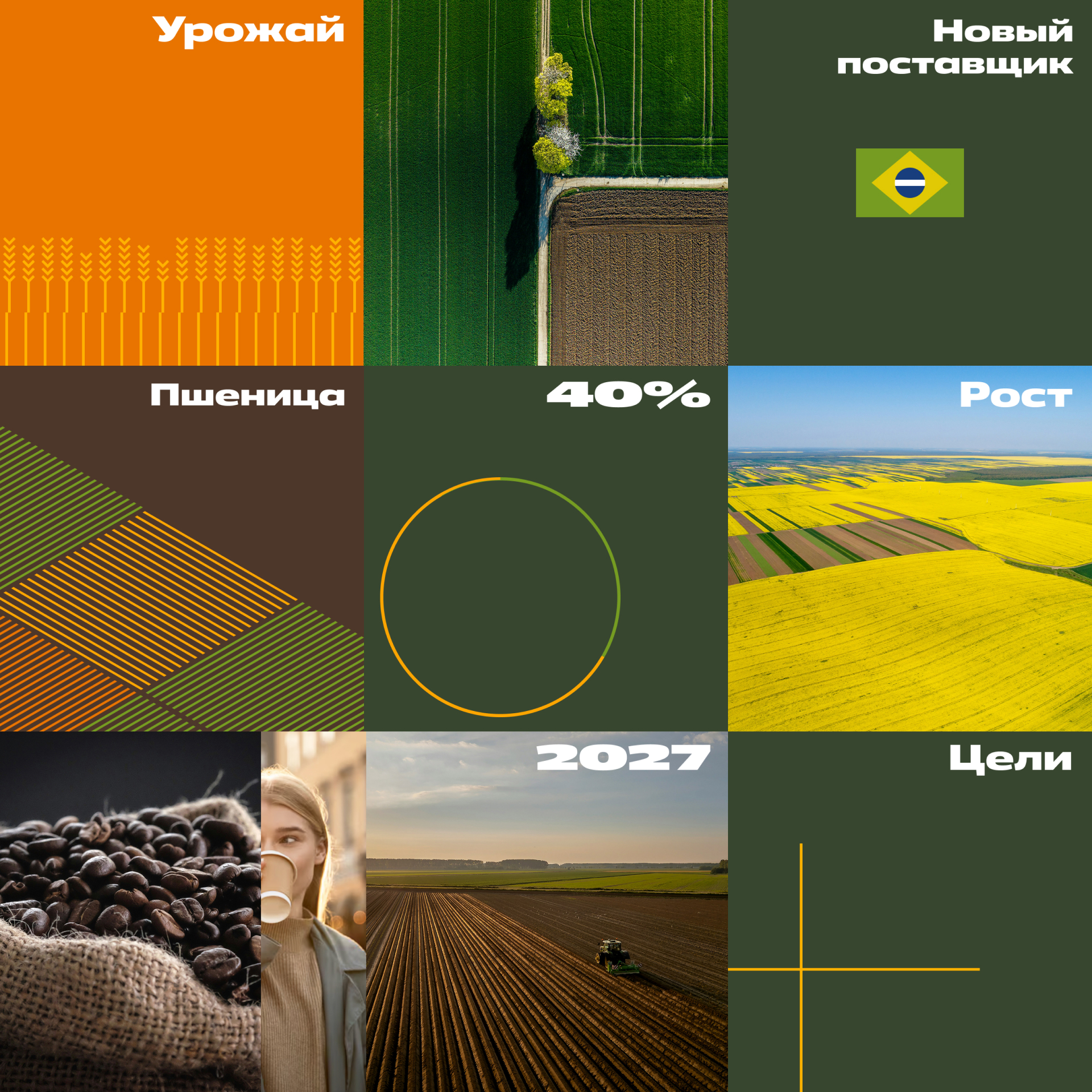 SOYTEX. Айдентика и сайт поставщика зерновых — Изображение №14 — Интерфейсы, Брендинг на Dprofile