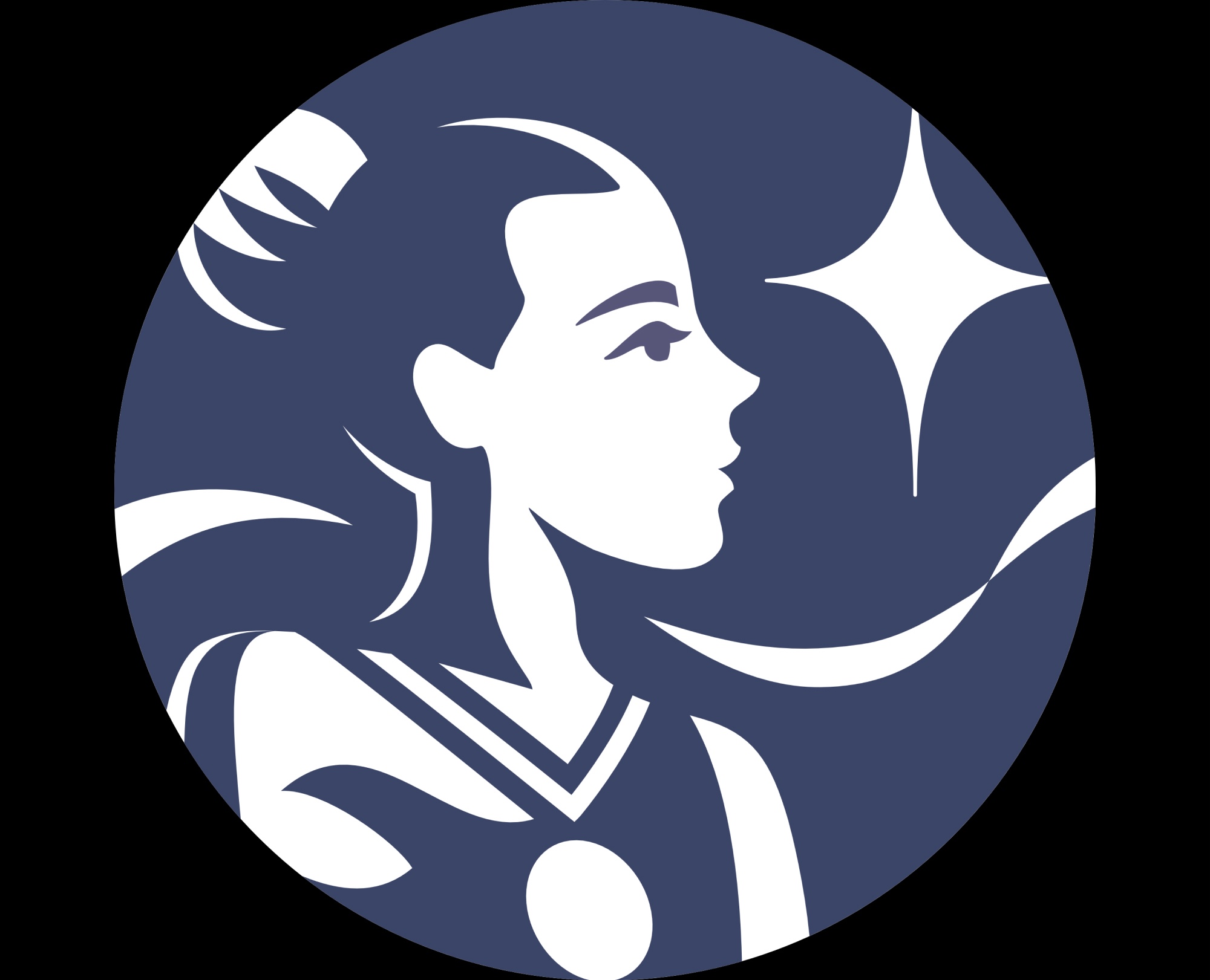 STARWAY. Спортивная одежда и сценические костюмы. — Брендинг, Иллюстрация на Dprofile