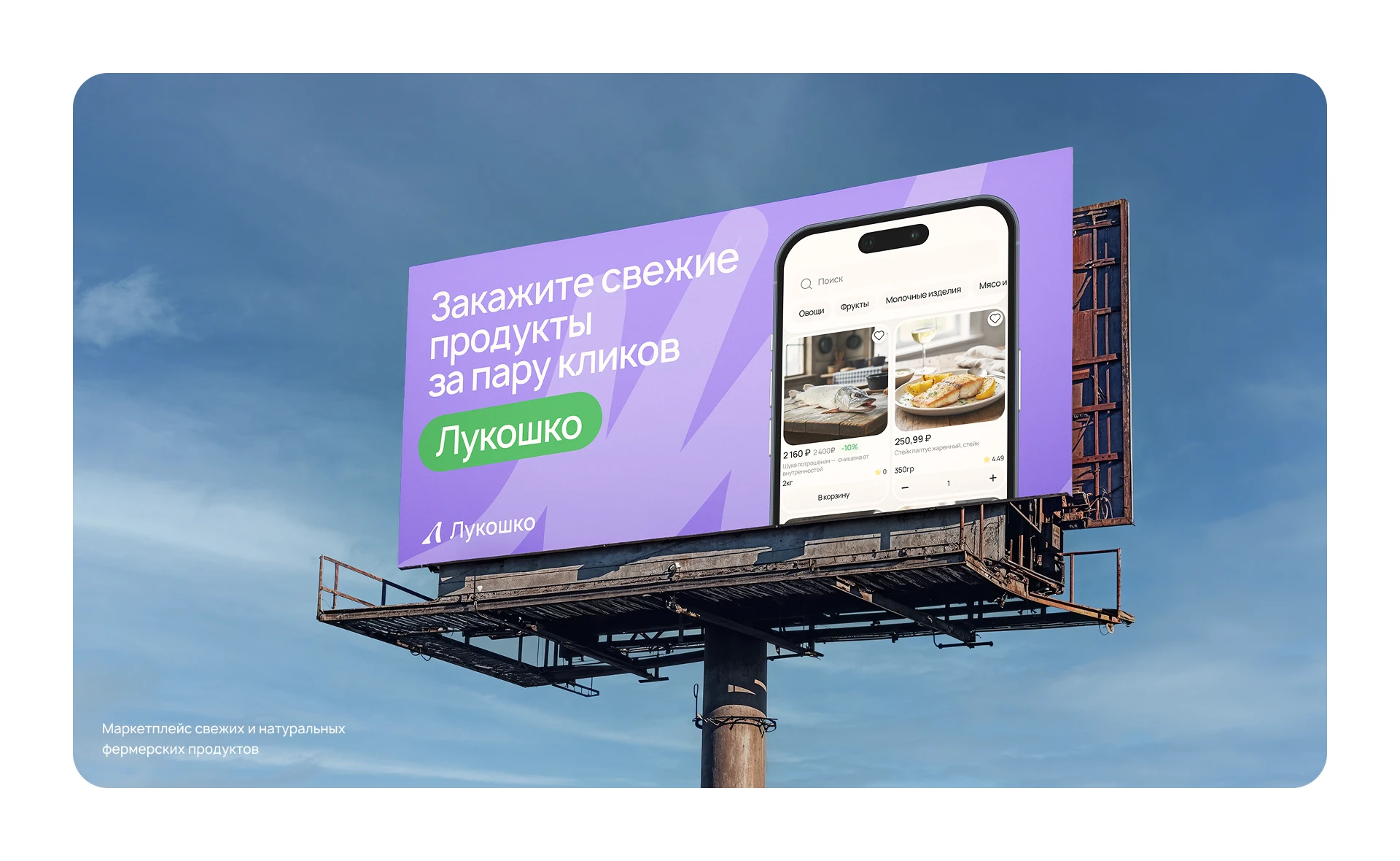 Лукошко маркетплейс фермерских продуктов mobile App — Изображение №9 — Интерфейсы, Брендинг на Dprofile