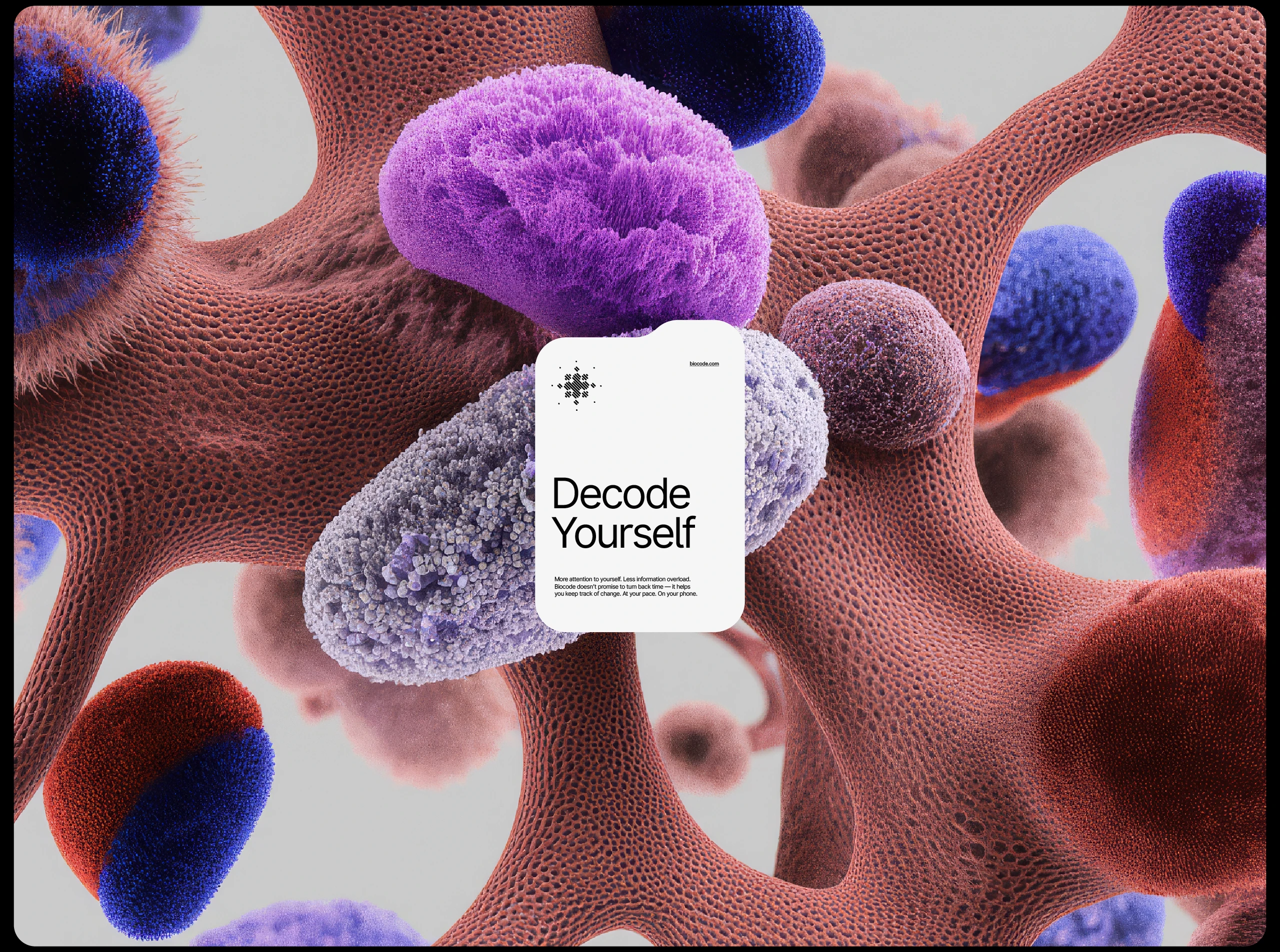 Biocode — Изображение №1 — Брендинг на Dprofile