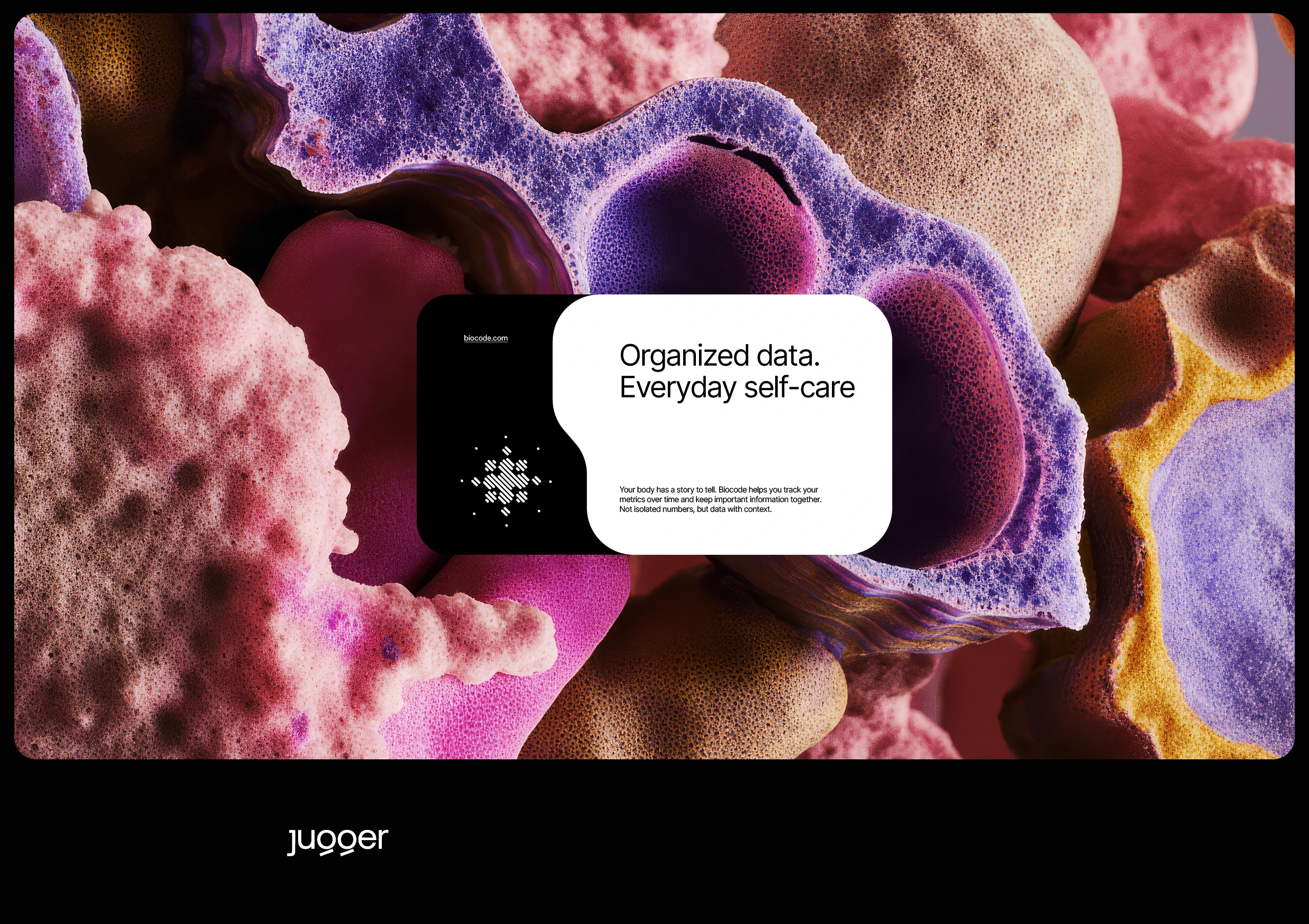 Biocode — Изображение №13 — Брендинг на Dprofile